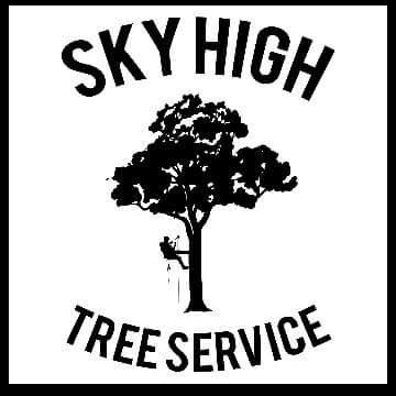  for Sky High Tree Service in Columbia, MO