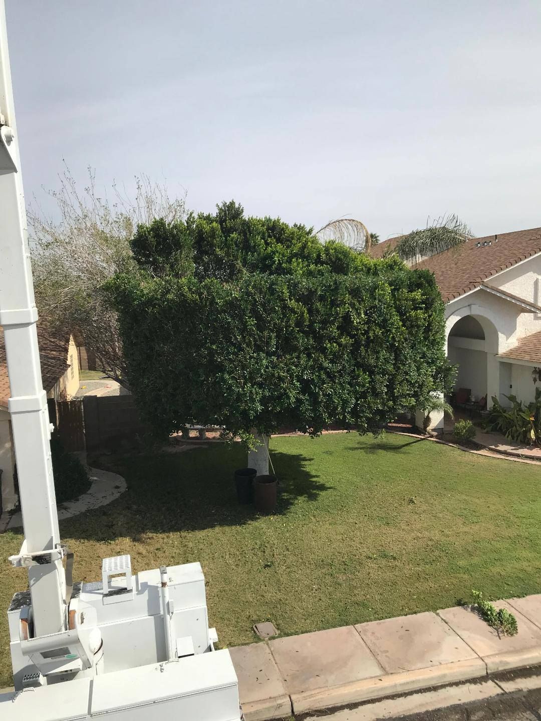  for Yuma Palms & Tree Service in Yuma, AZ