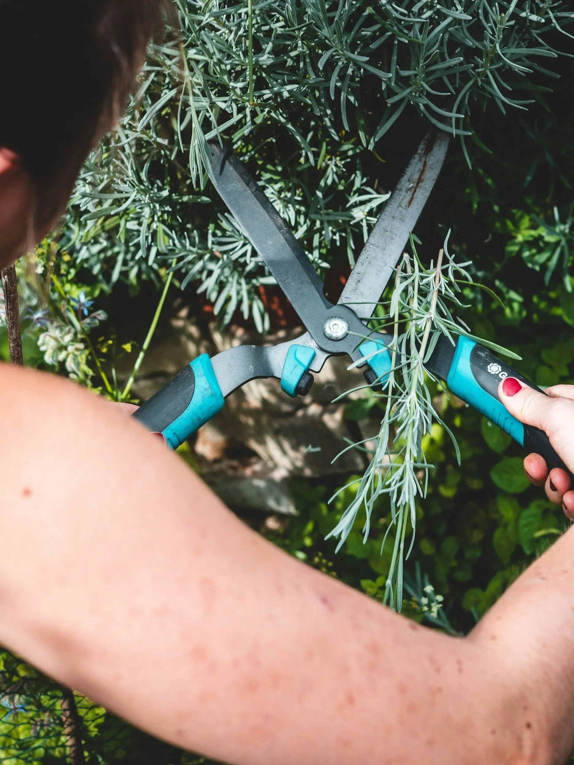  for Vasel's Landscaping Services in Medina, OH