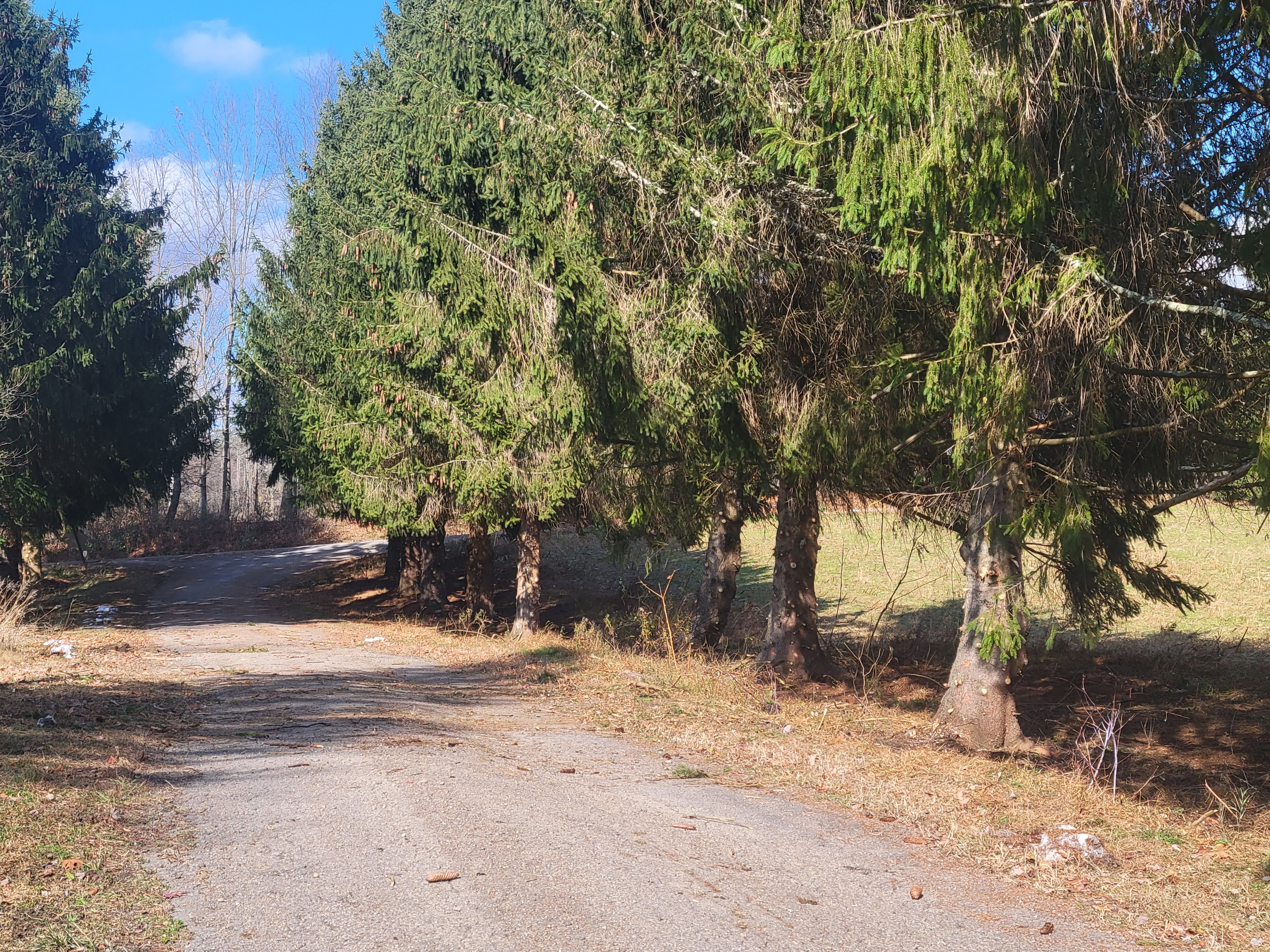  for Down Home Landscaping in Stillwater, PA