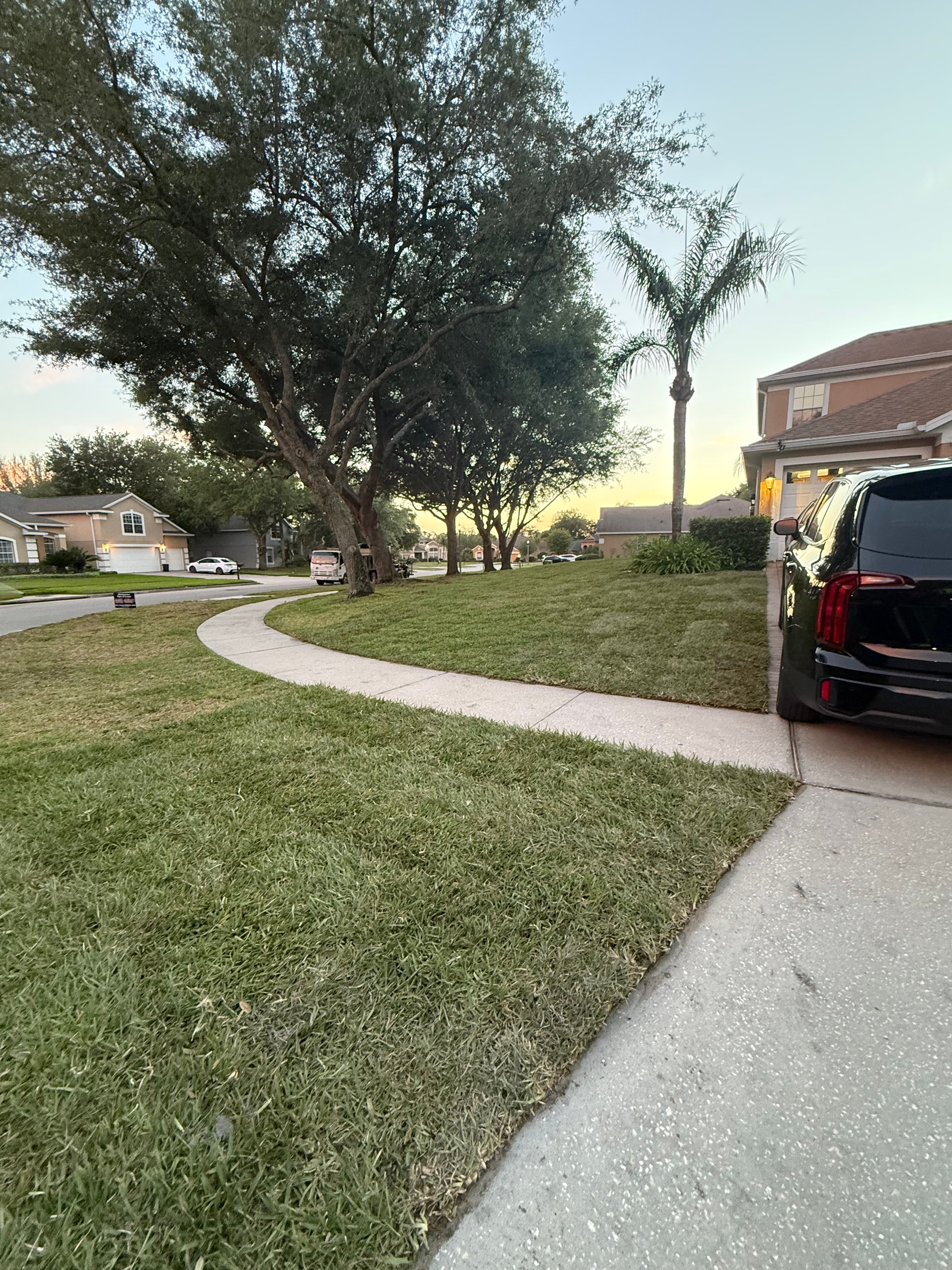  for Amerigrown Tree And Lawn in Apopka, FL