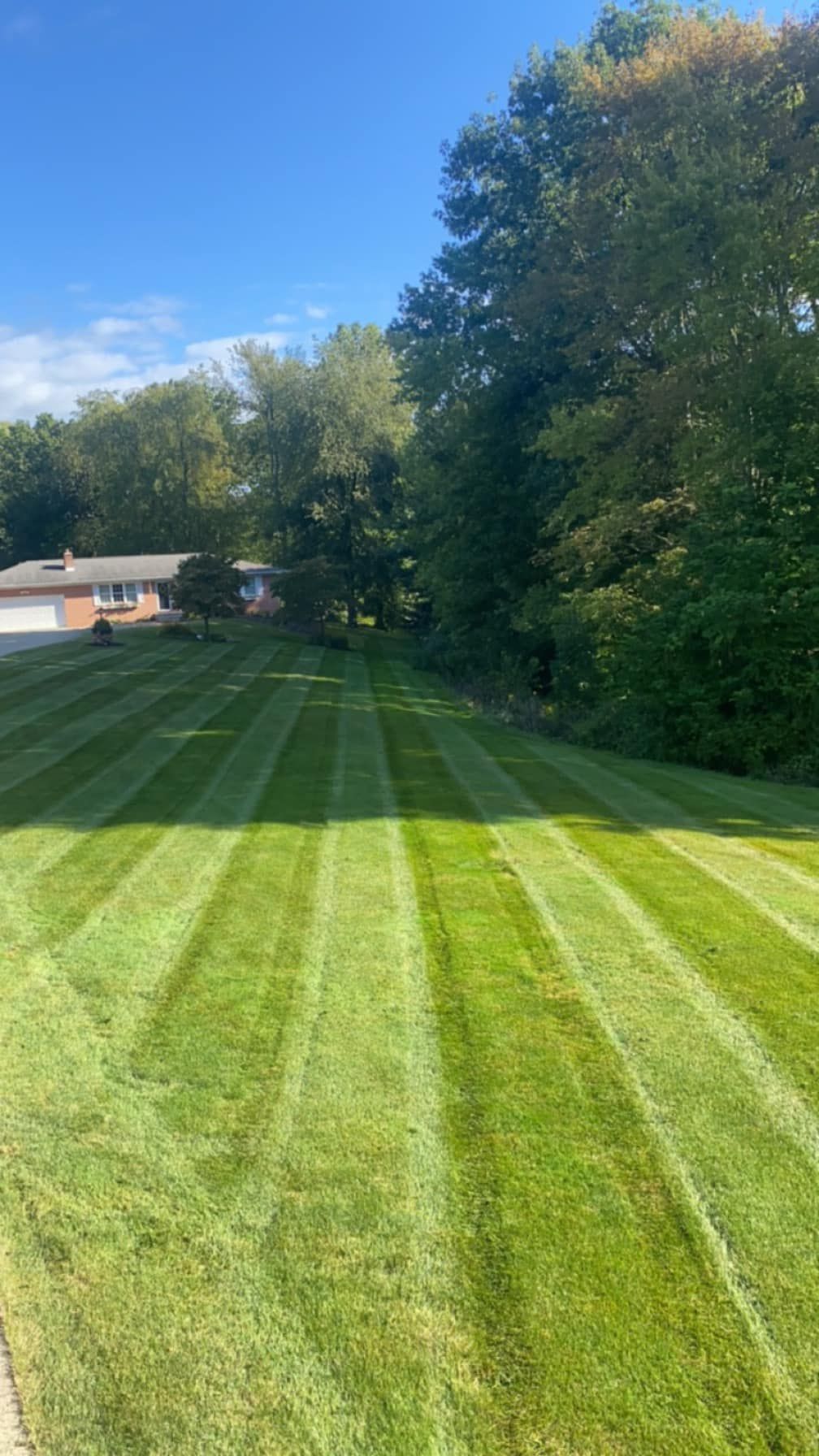  for Jenkins Landscaping & Property Management LLC in Clinton, OH