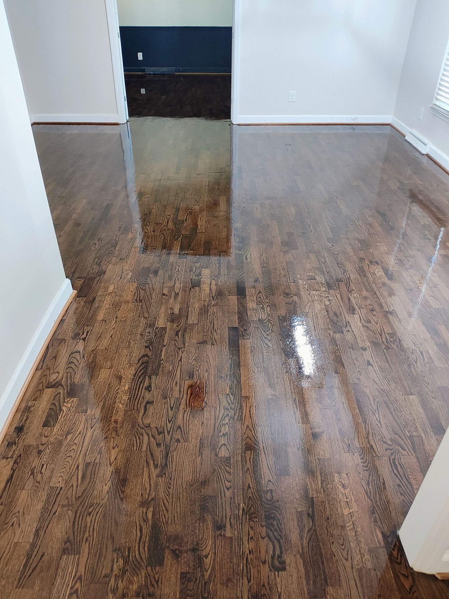  for Do Better Home Renovations LLC in Macon, GA