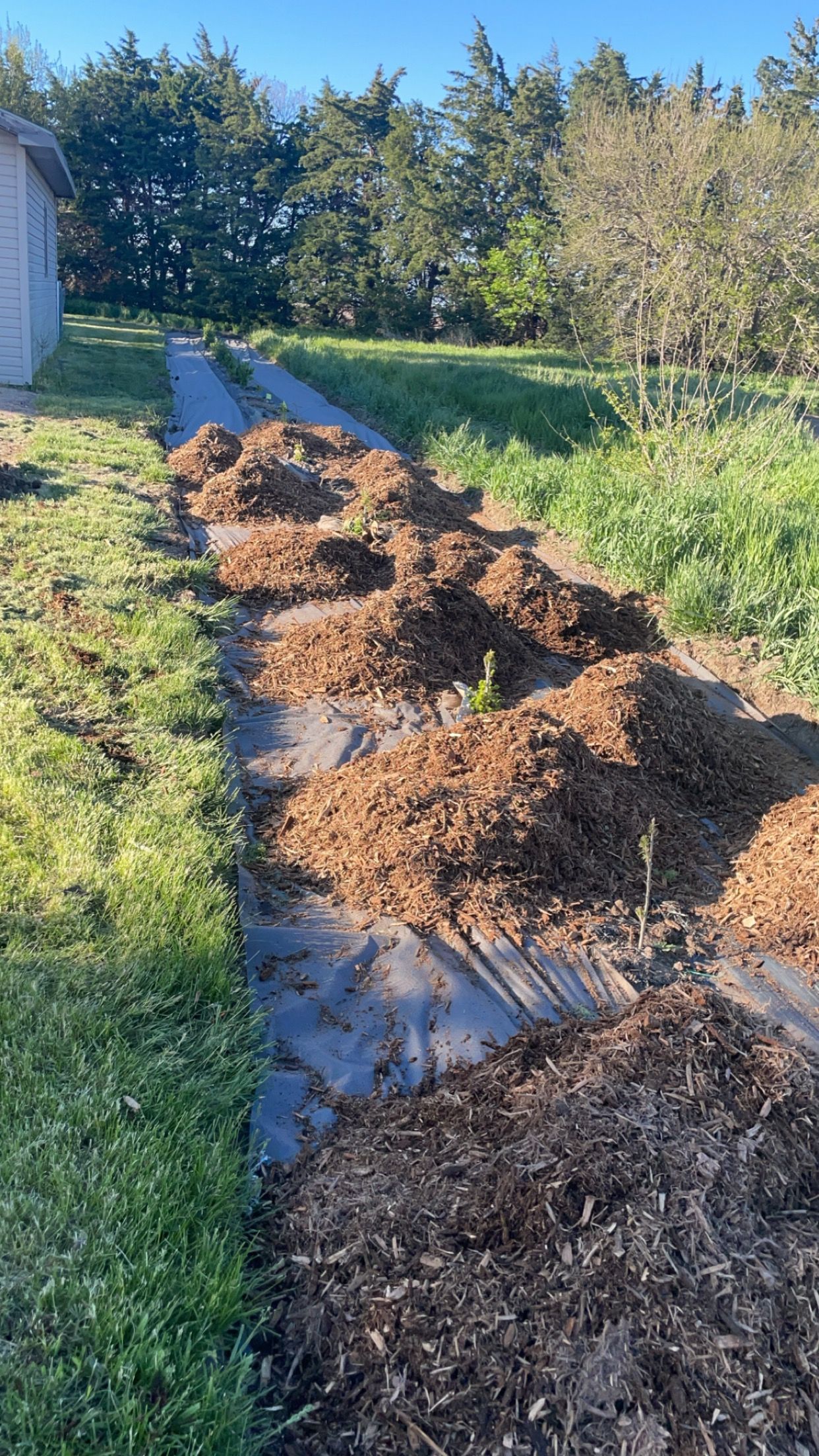  for Jacks Lawn & Landscape LLC  in Hastings, NE