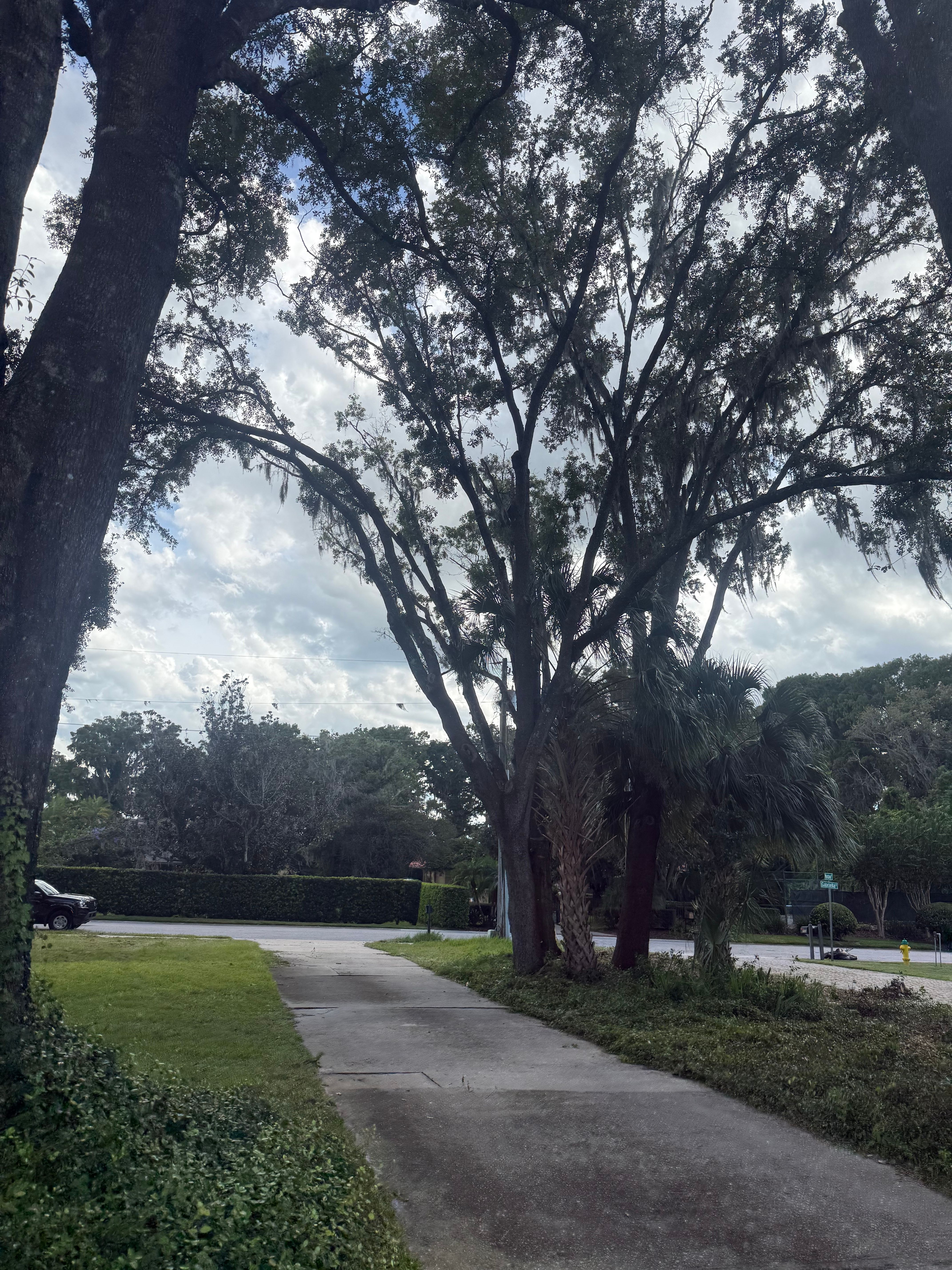  for Amerigrown Tree And Lawn in Apopka, FL