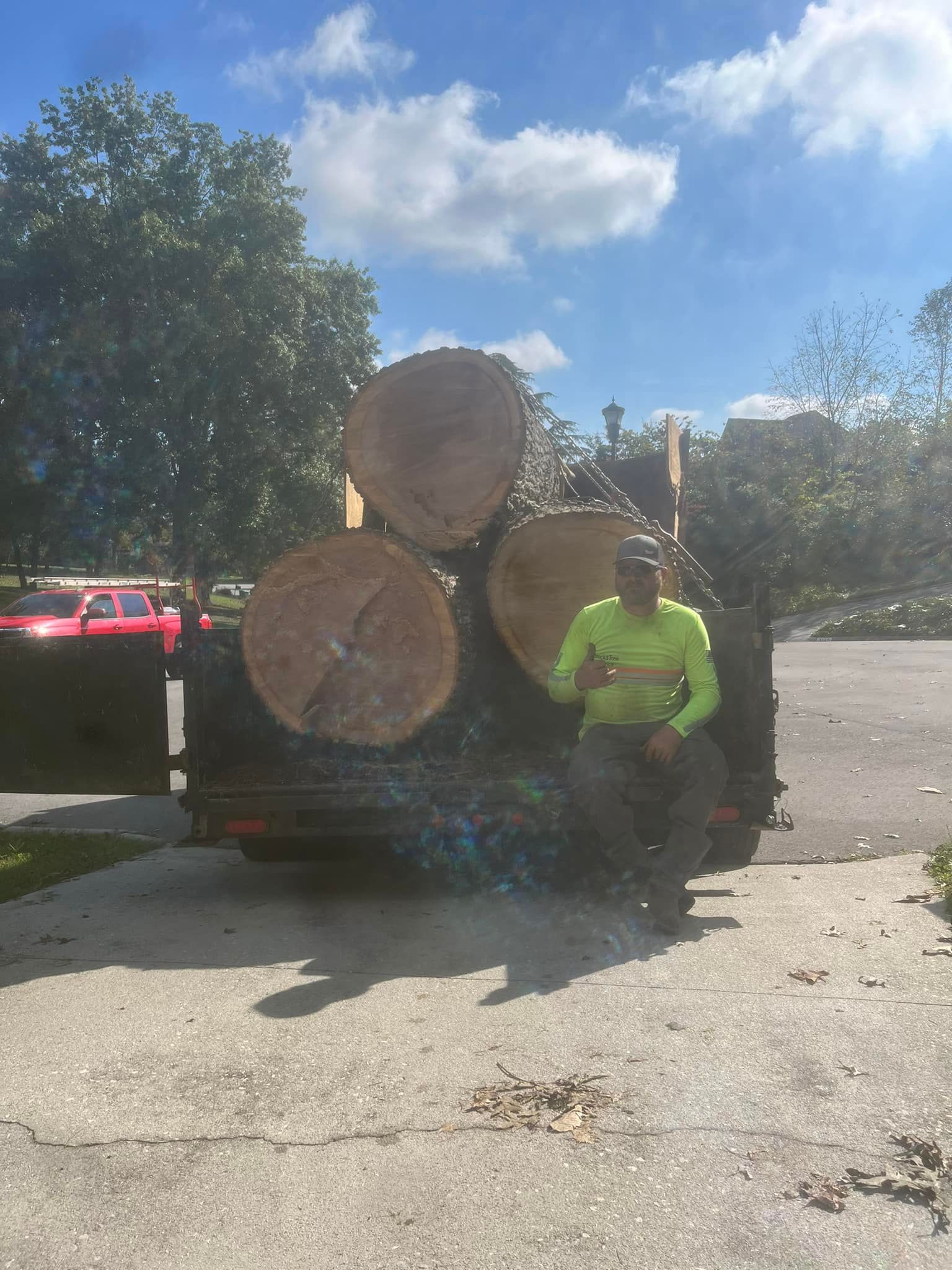 All Photos for Brocks Tree Service LLC in Rogersville, TN