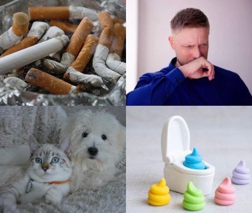  for N&D Restoration Services When Disaster Strikes, We Come In in Cape Coral,  FL