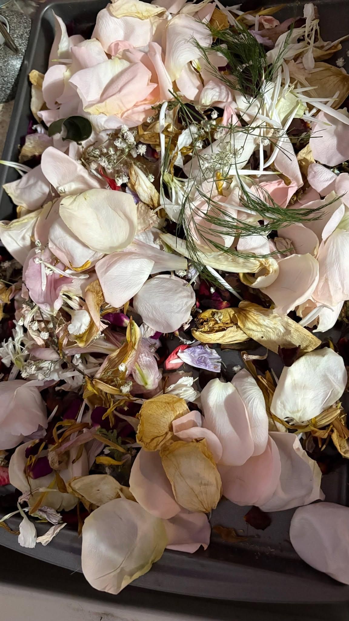  for The Dailey Daisy in Hardwick, VT