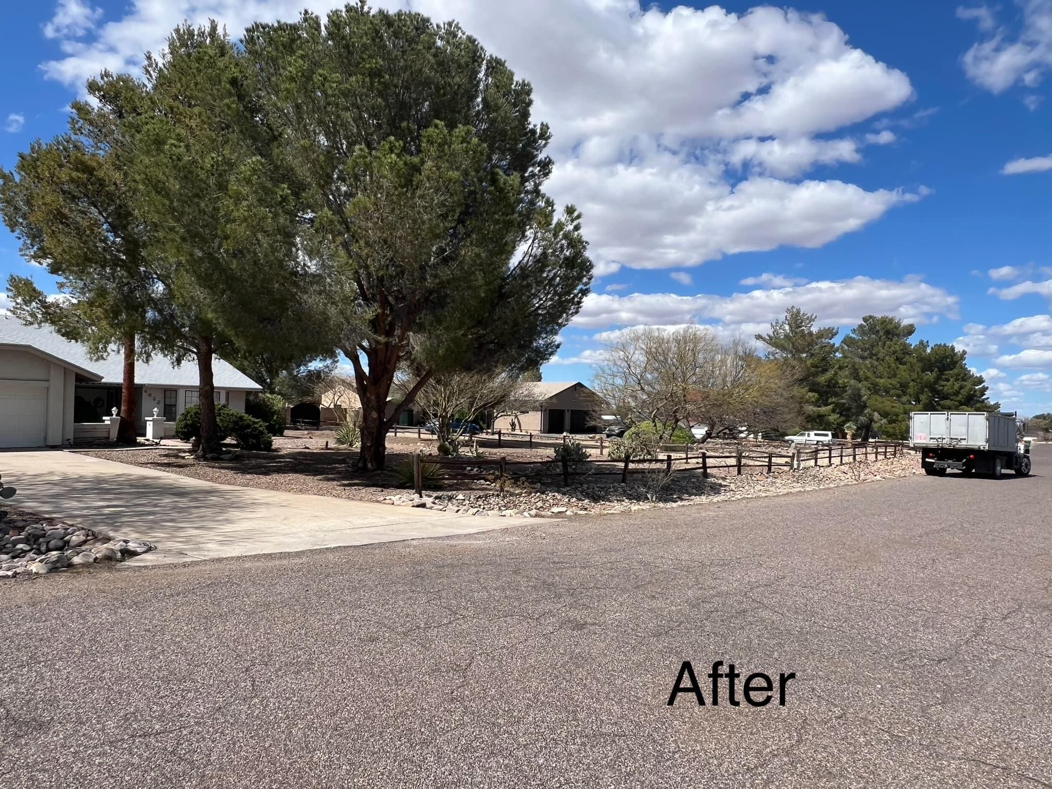 Stump Removal for By Faith Landscaping in Sierra Vista, AZ
