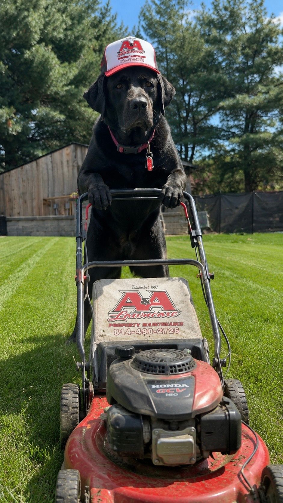  for A & A Lawn Care and Outdoor Services in Fairview, PA