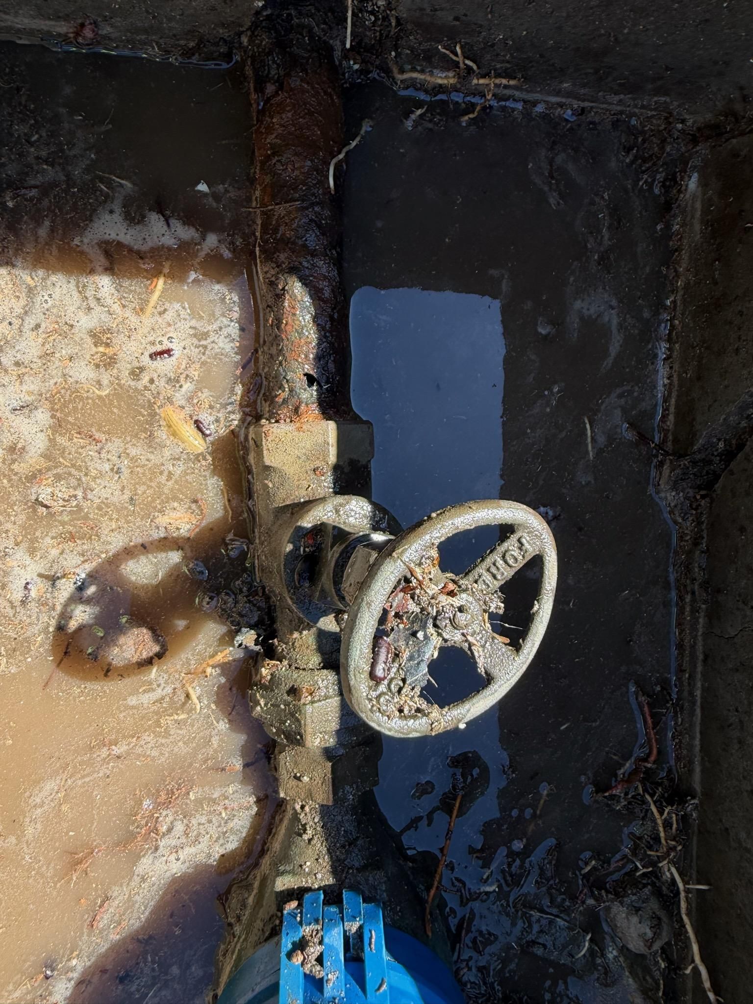  for Drain Surgeon Inc. in Fontana, CA