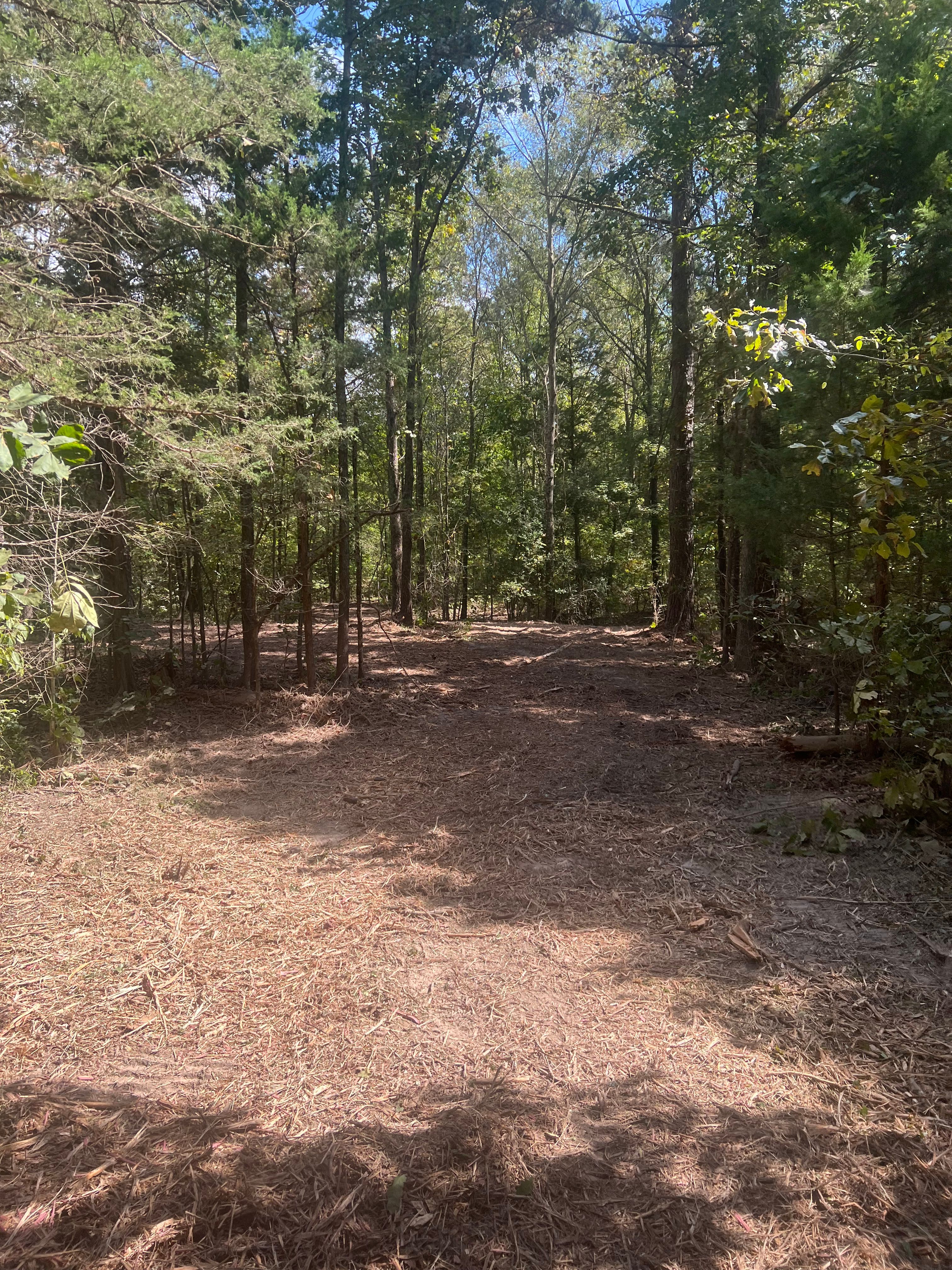  for 903 Mulching in East Mountain, TX