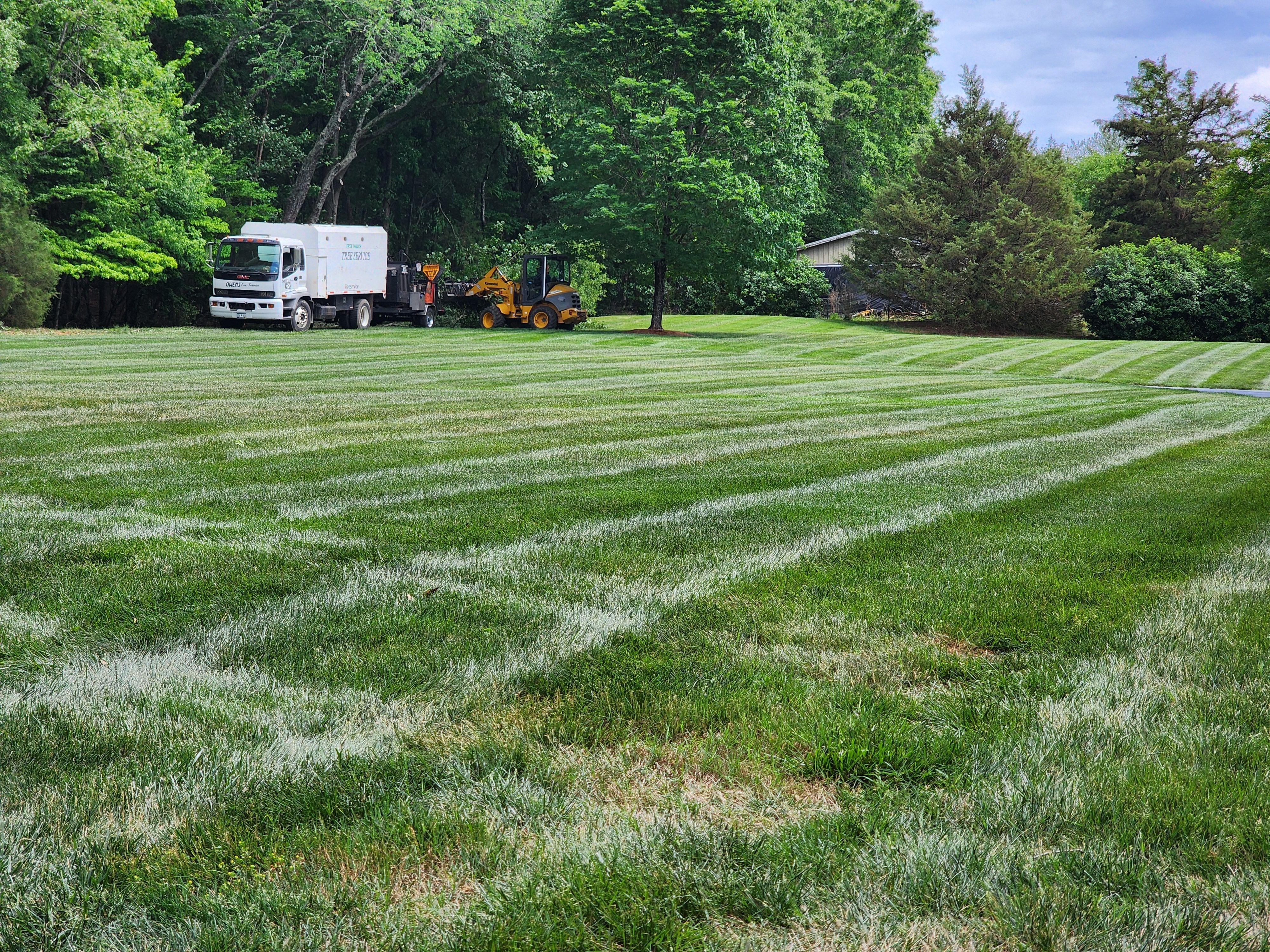  for Owens Tree Services in Inman, SC