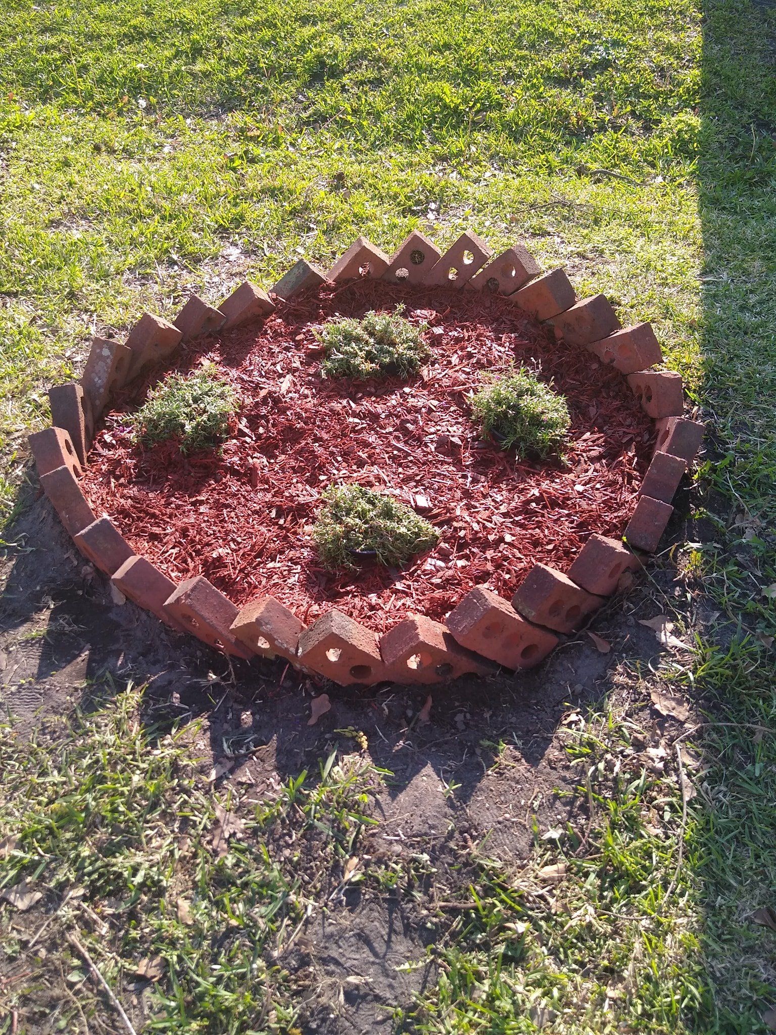  for Voilà Magic LawnCare Services in Jacksonville, NC