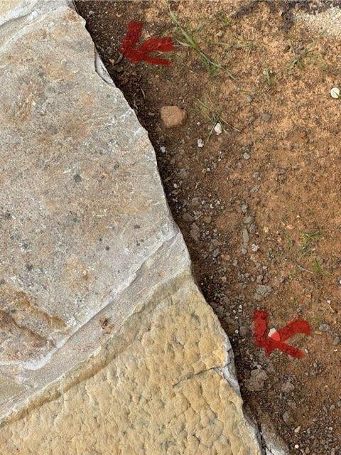  for Rojas Contractors in Fort Worth, TX