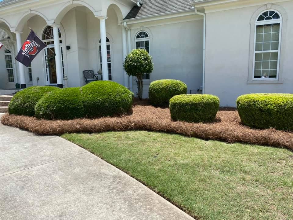 Lawn for Pinnacle Property Maintenance LLC in McDonough, GA