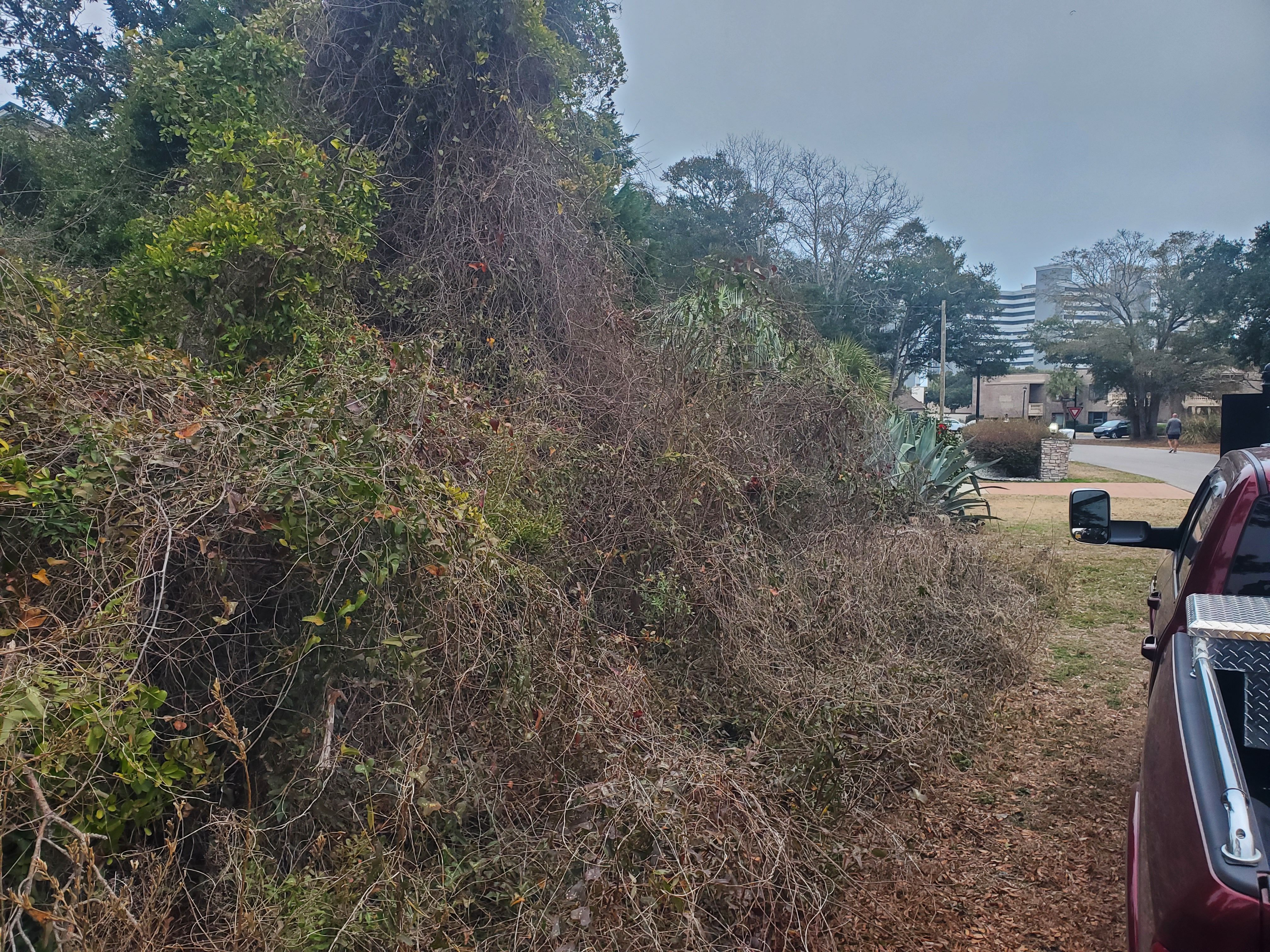 All Photos for TJ Farm and Land Management in Loris, SC