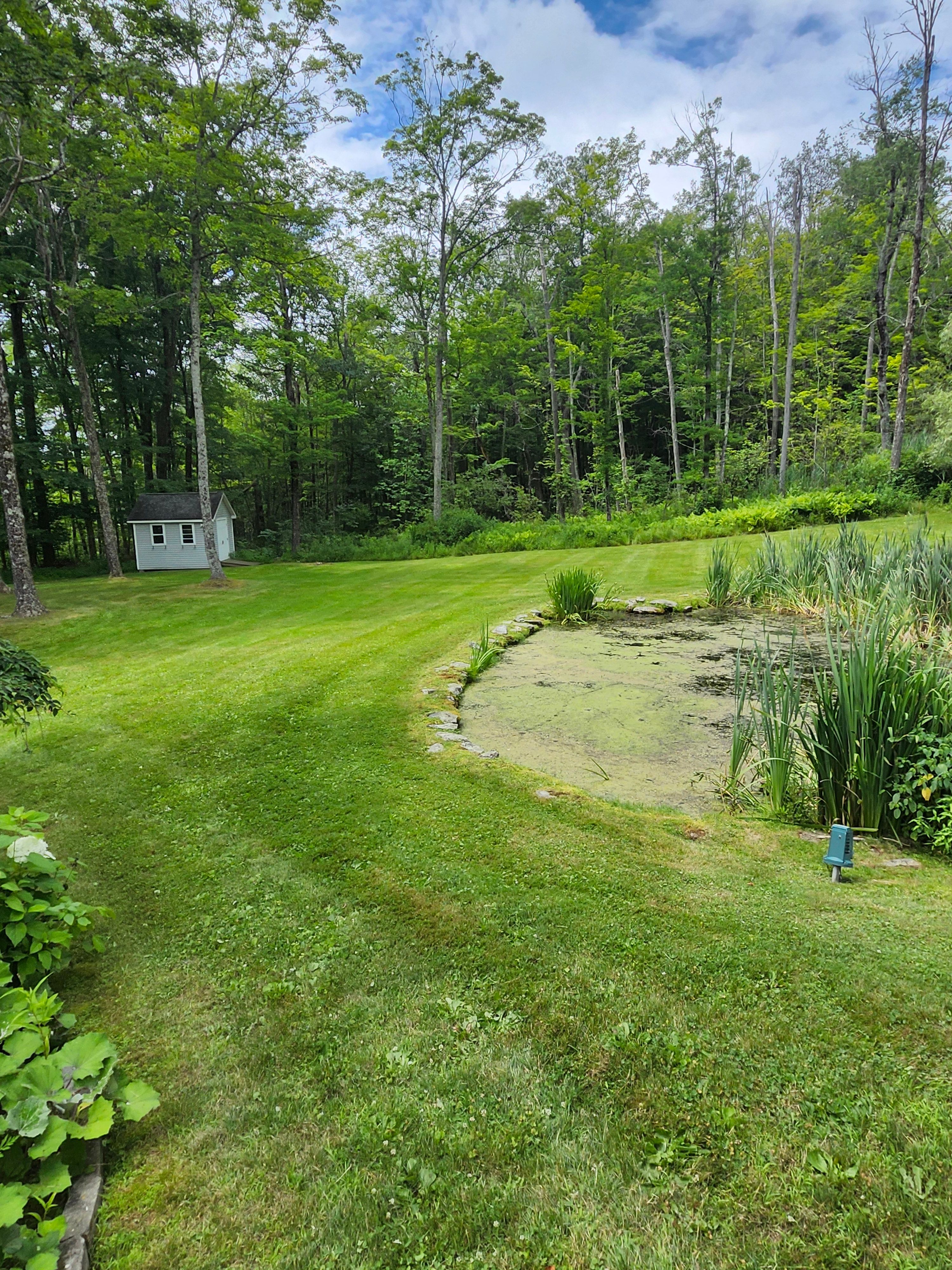Lawn Mowing for Landscape Innovations LLC in Torrington, CT