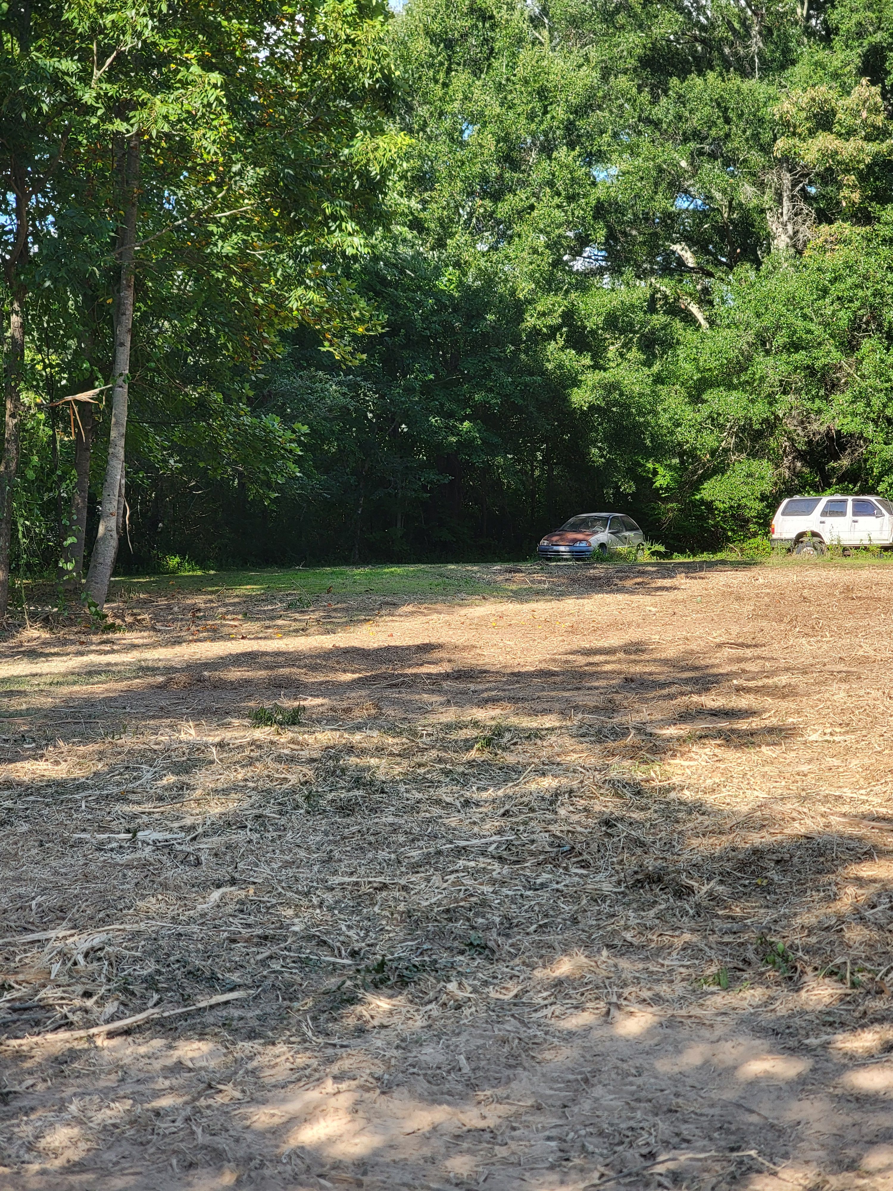  for Z's Land Management & Forestry Mulching in Smithville, TN