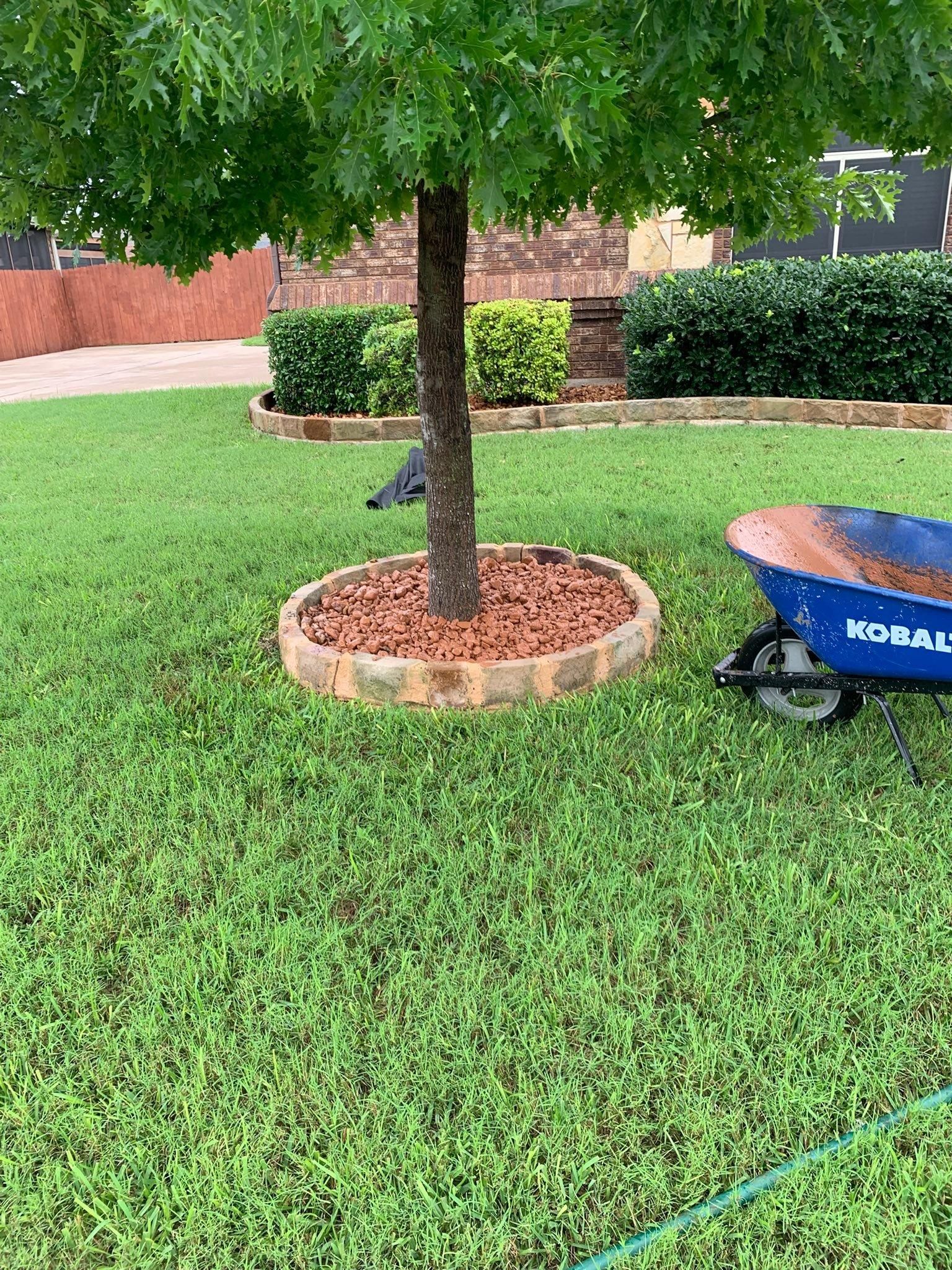 All Photos for Father & Son Lawn Care in Killeen, TX