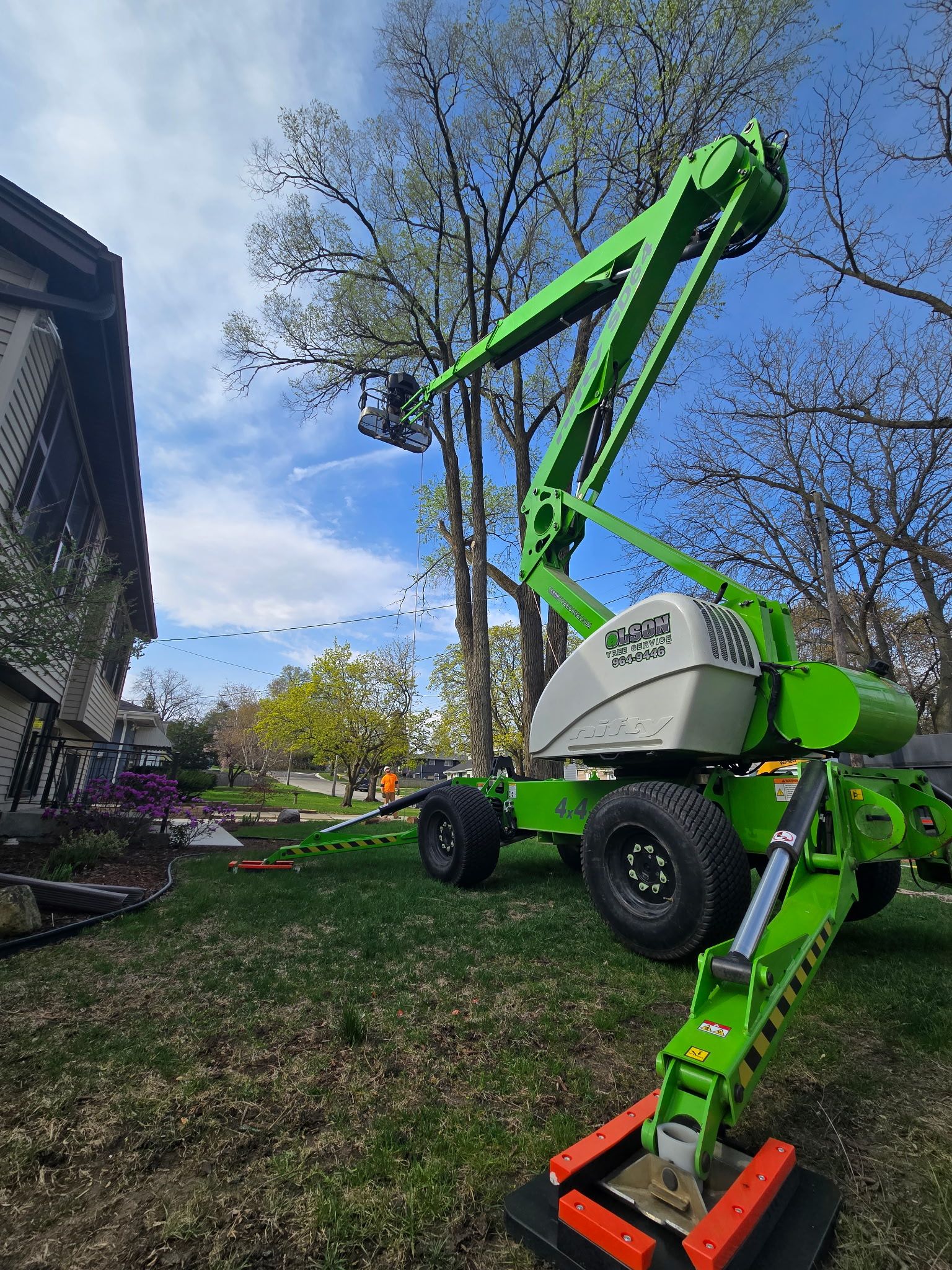 Tree Removal for Olson Tree Service, Inc in Rockford, IL