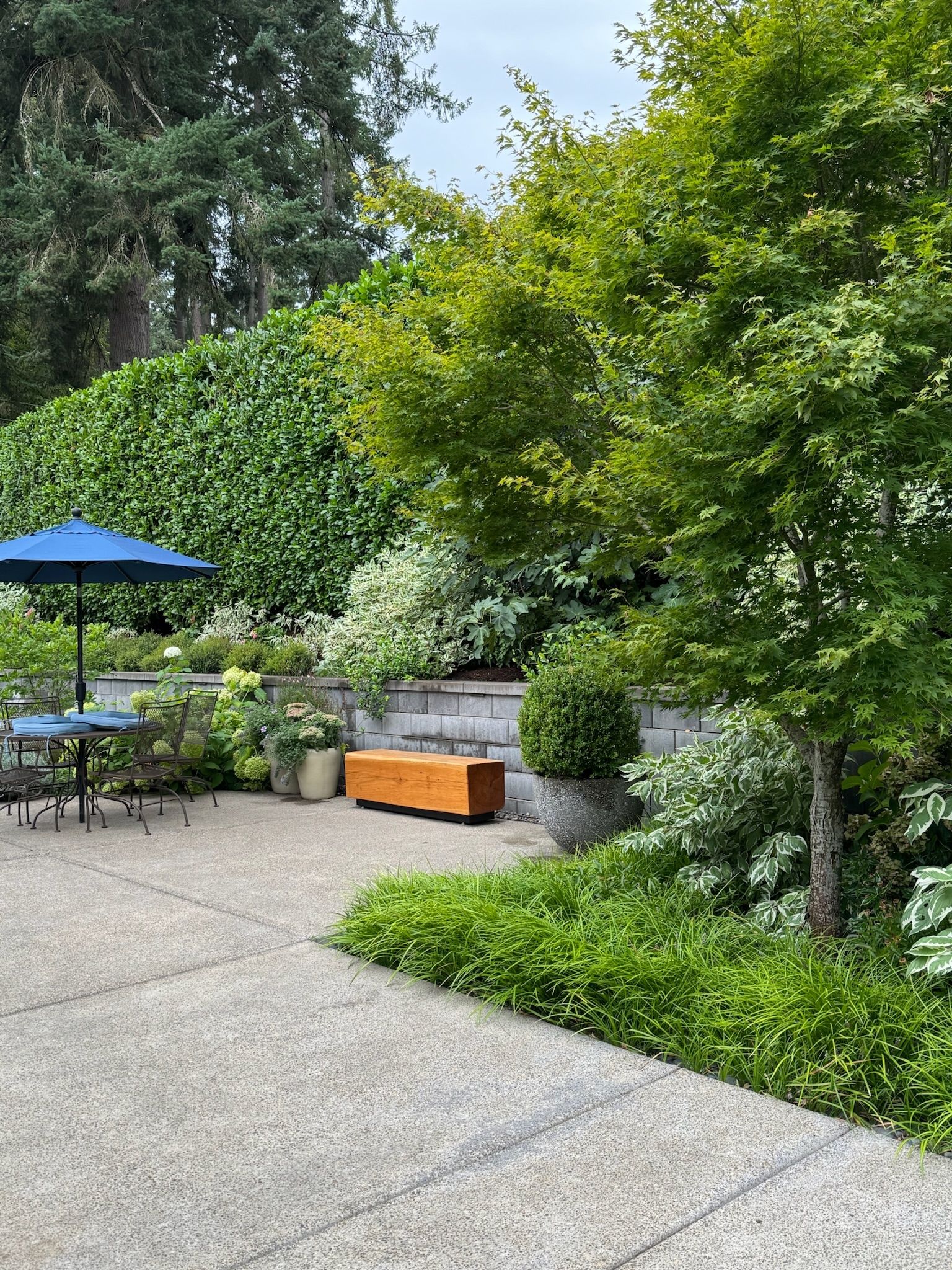  for Courtney Lewis Landscape Design in Portland, OR