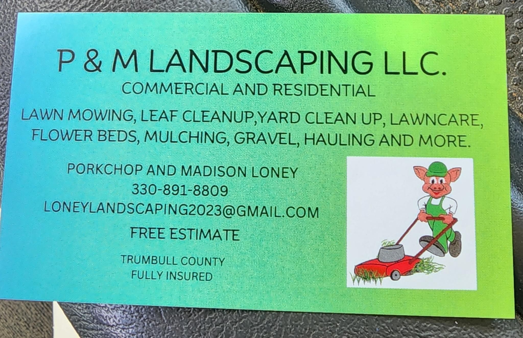  for P & M LANDSCAPING LLC in Trumbull County, Ohio