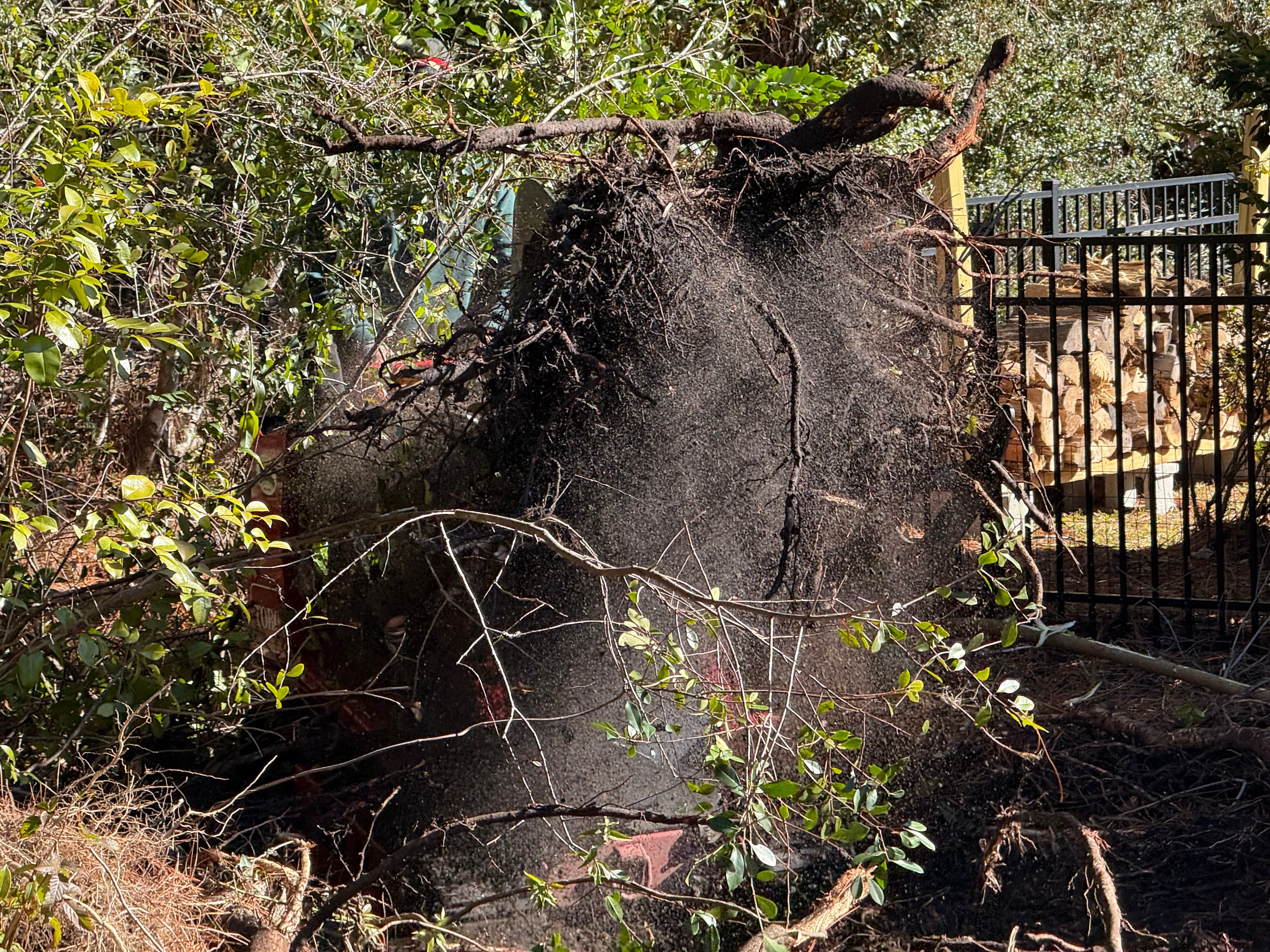  for New Creation Landscaping in Myrtle Beach, SC