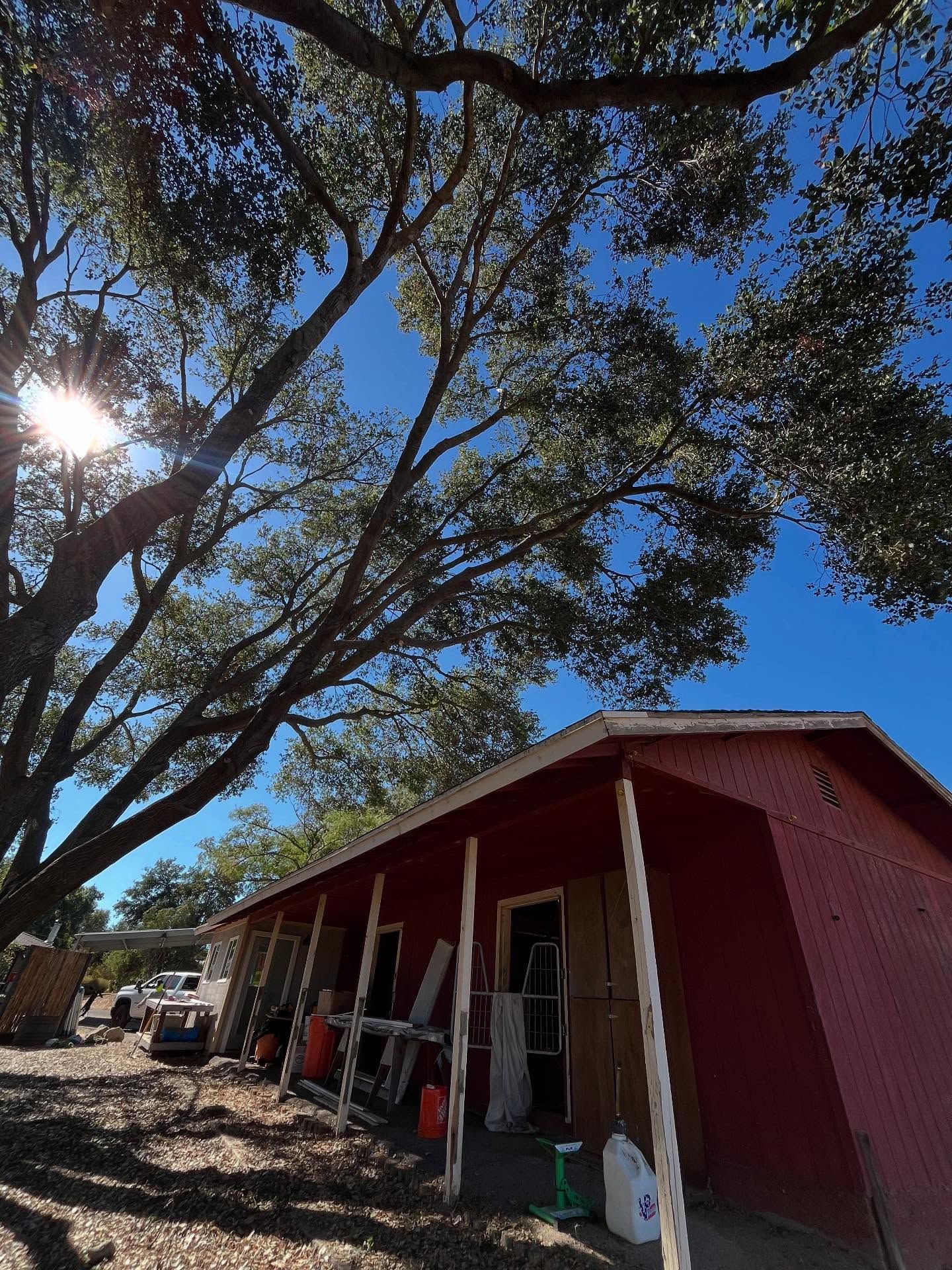  for A1 Junk & Tree Solutions, LLC in Paso Robles, CA