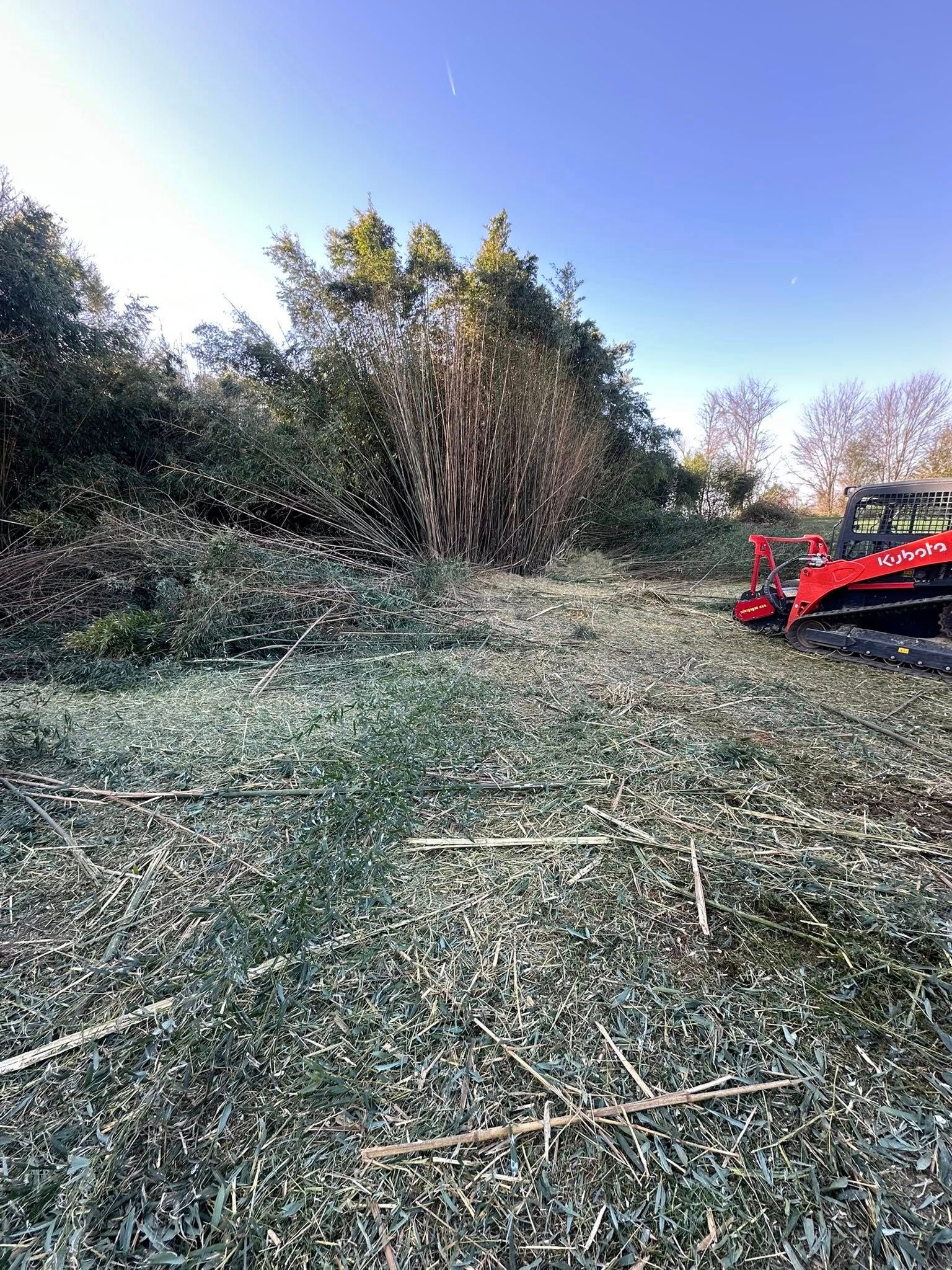  for Lanes Land Management in Fayetteville, TN