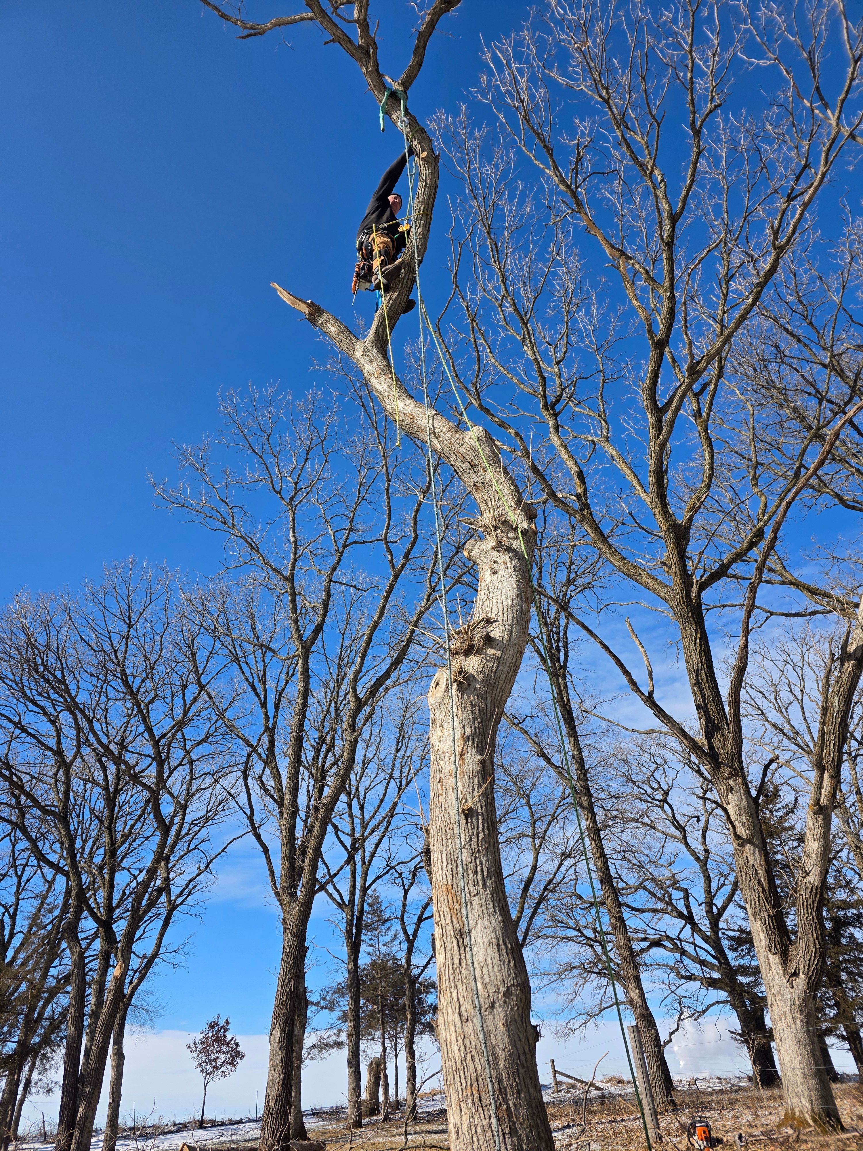  for Minnesota Seasonal in Corcoran, MN