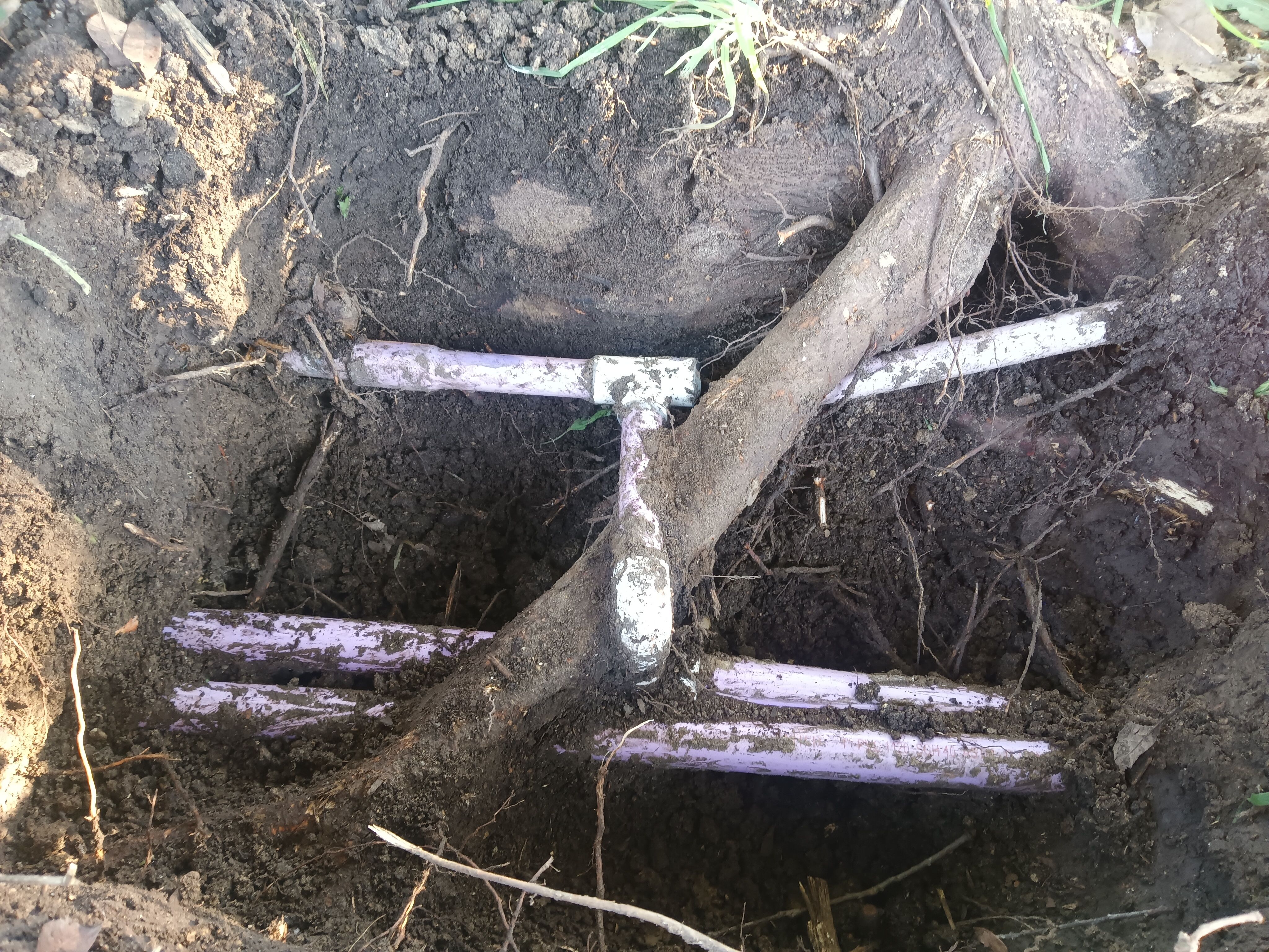  for Arreola Irrigation Repair in Bexar County, TX