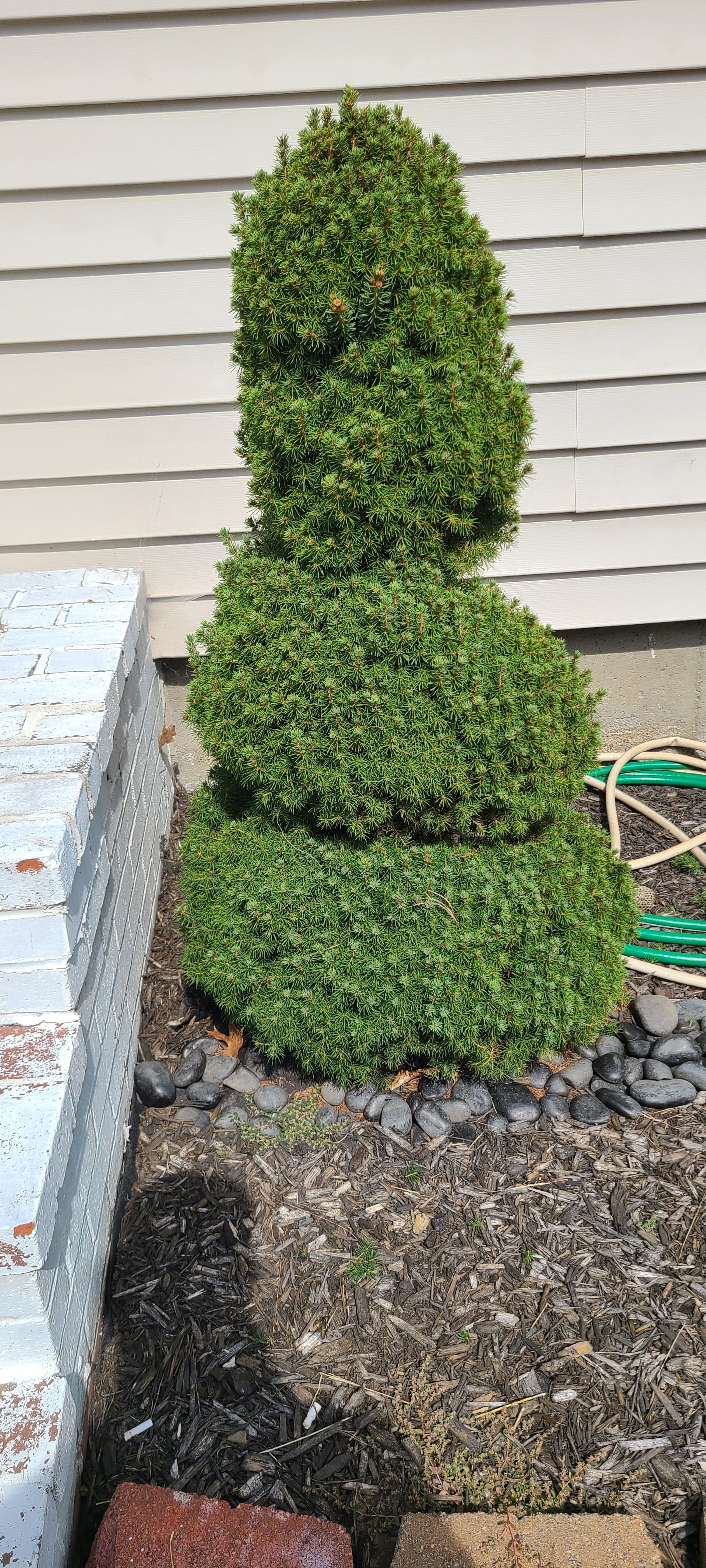  for RK Outdoor Services in Weare, NH