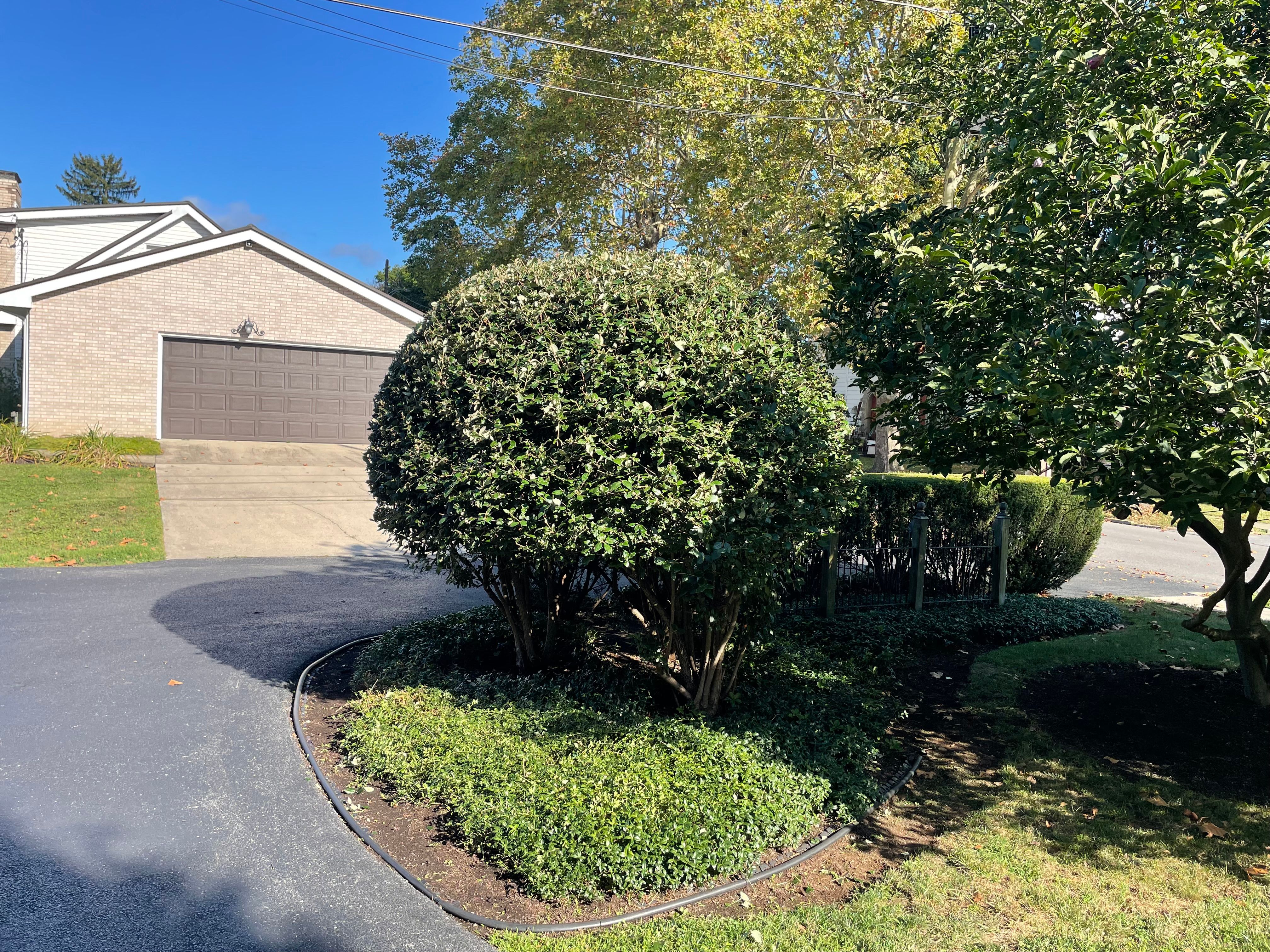  for Bryant Property Solutions in Altoona, PA