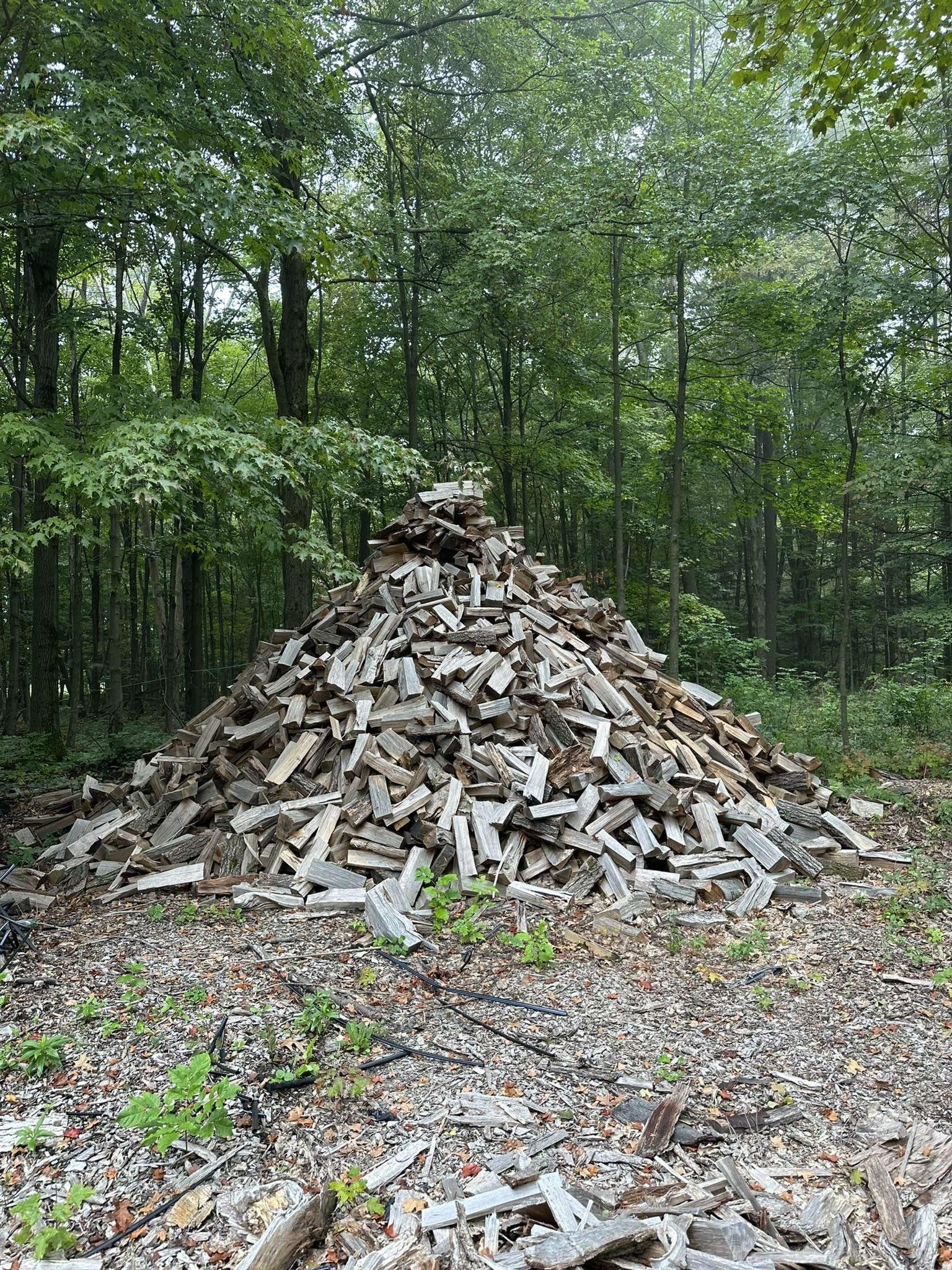  for Sterlings Tree Removal in Cobleskill, New York