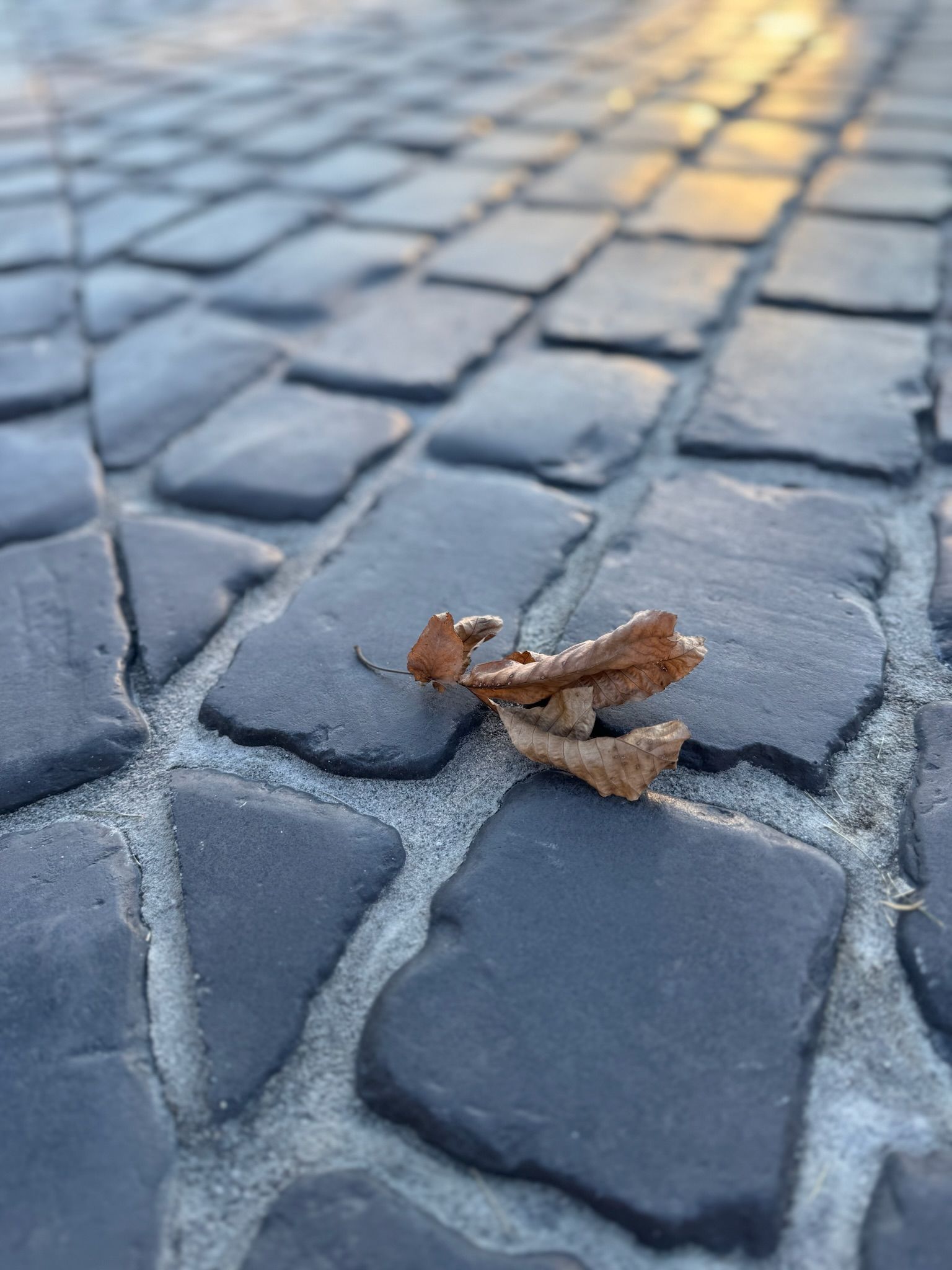  for The Lawn Guy in Saratoga Springs, NY