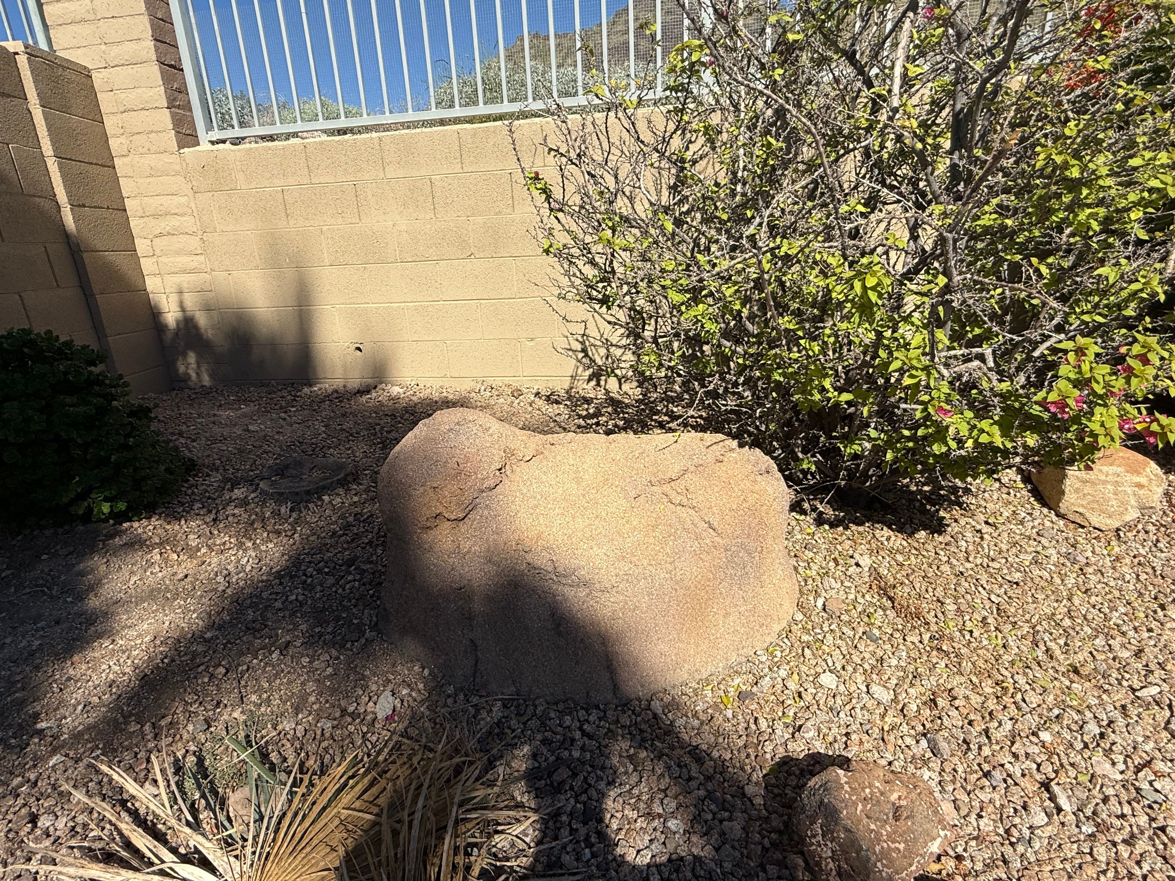  for Arizona Backyard Synergy in Phoenix, AZ