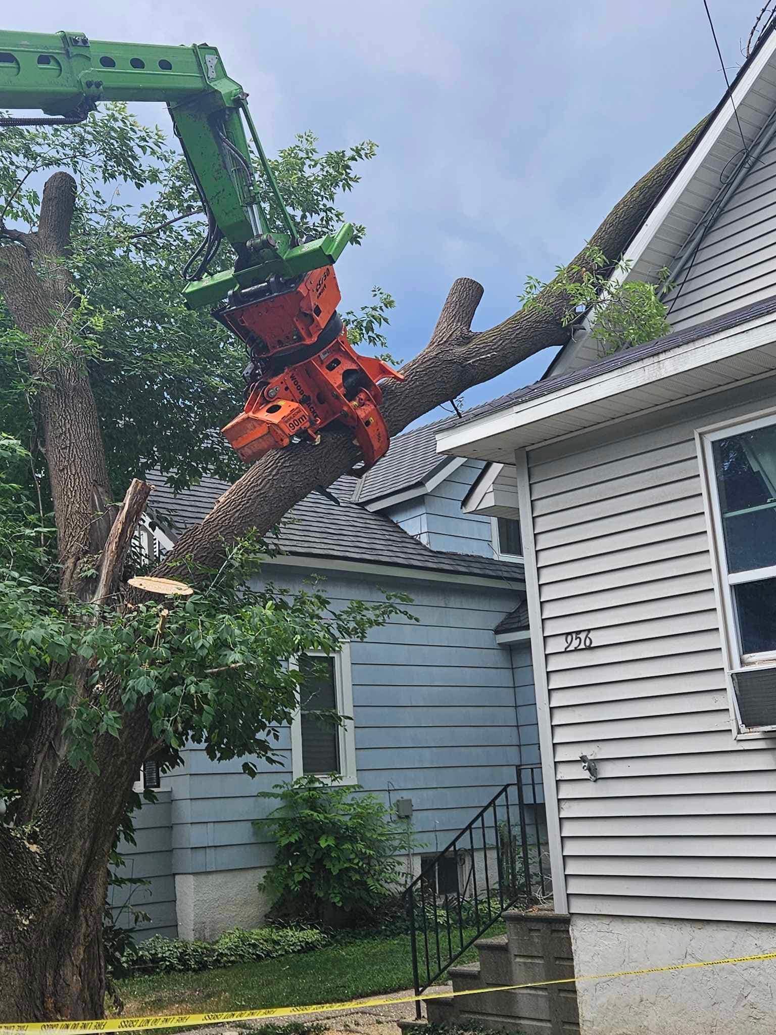  for Tree-B-Gone in Shawano, WI