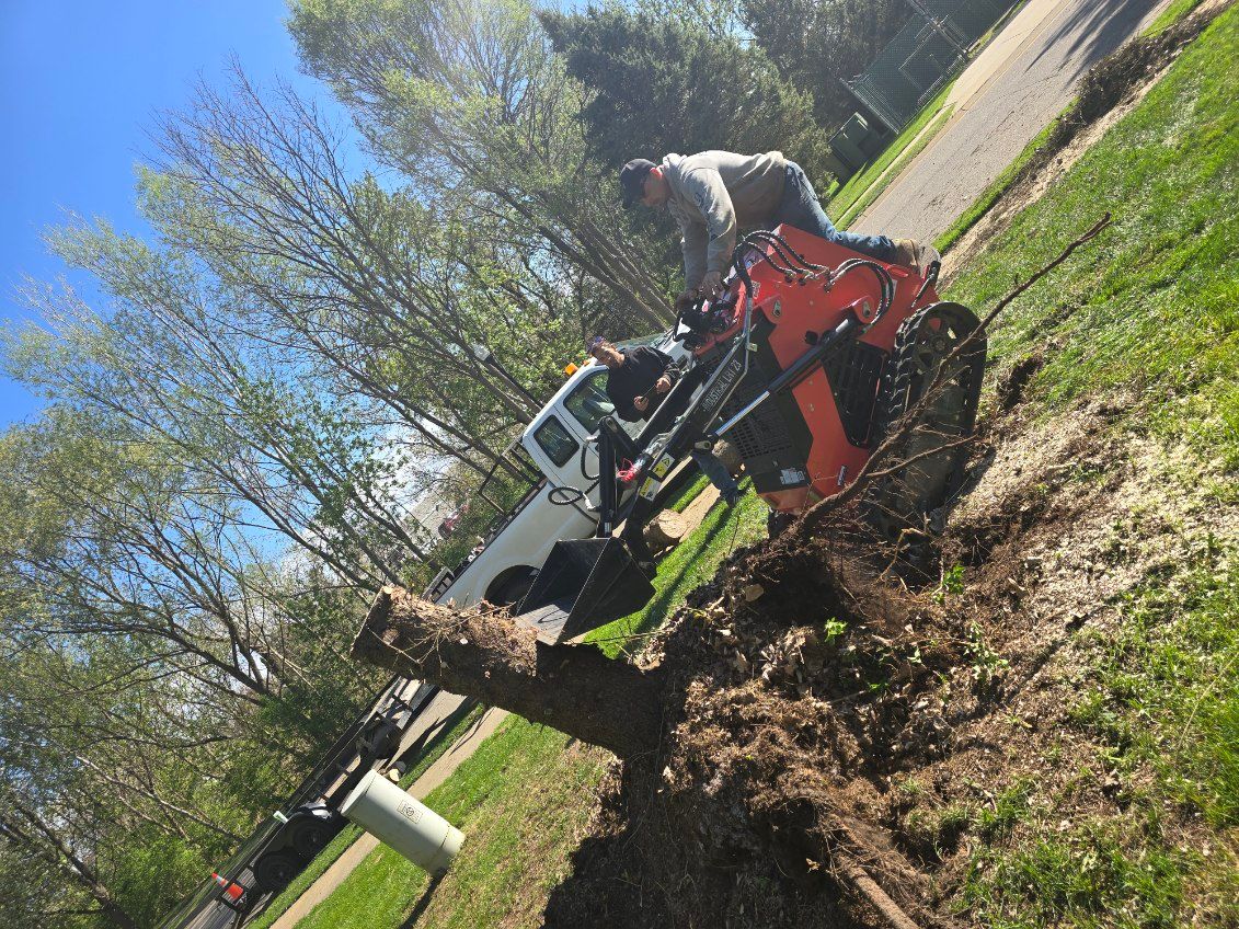  for D Hale Tree Service in Dexter, MI