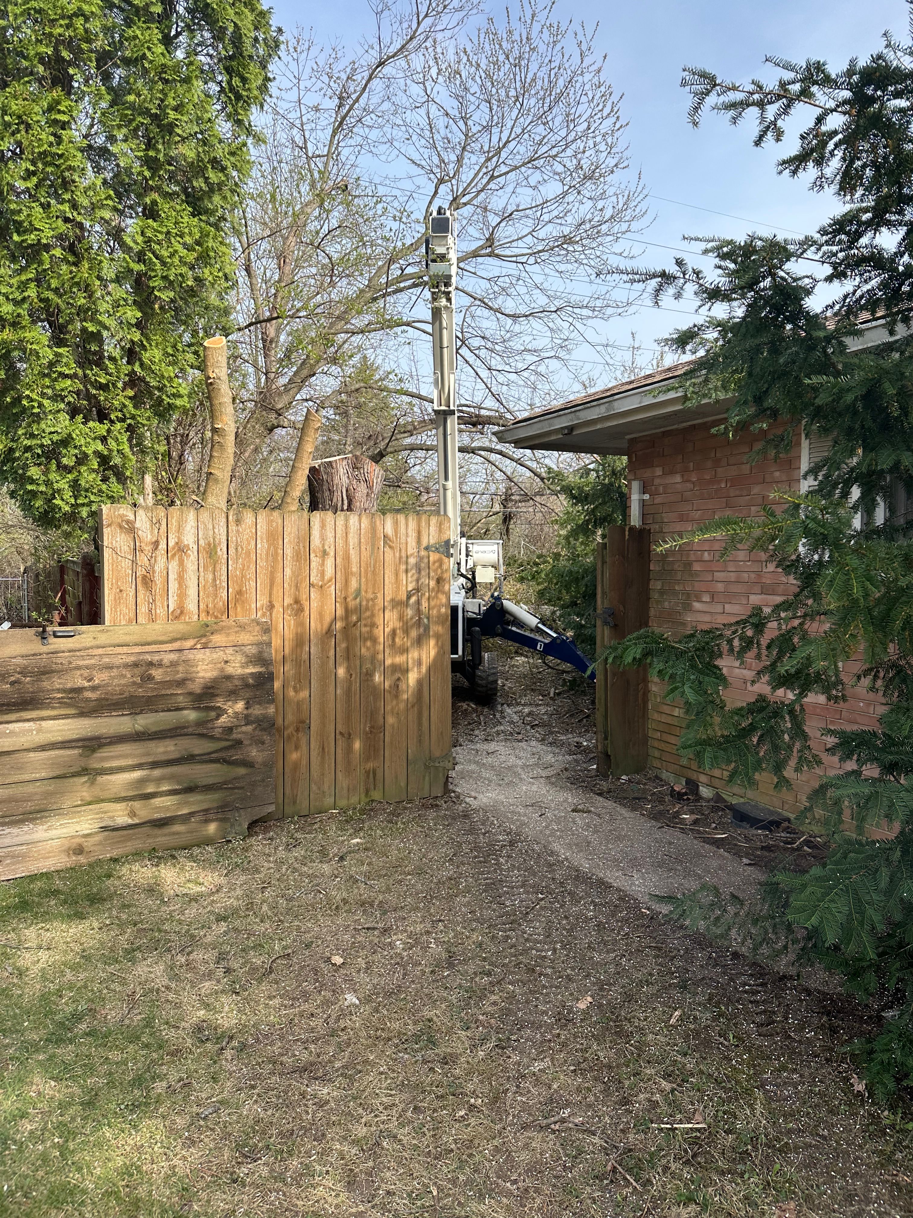 All Photos for Pro Tree Trim & Removal, Llc in Dayton, OH