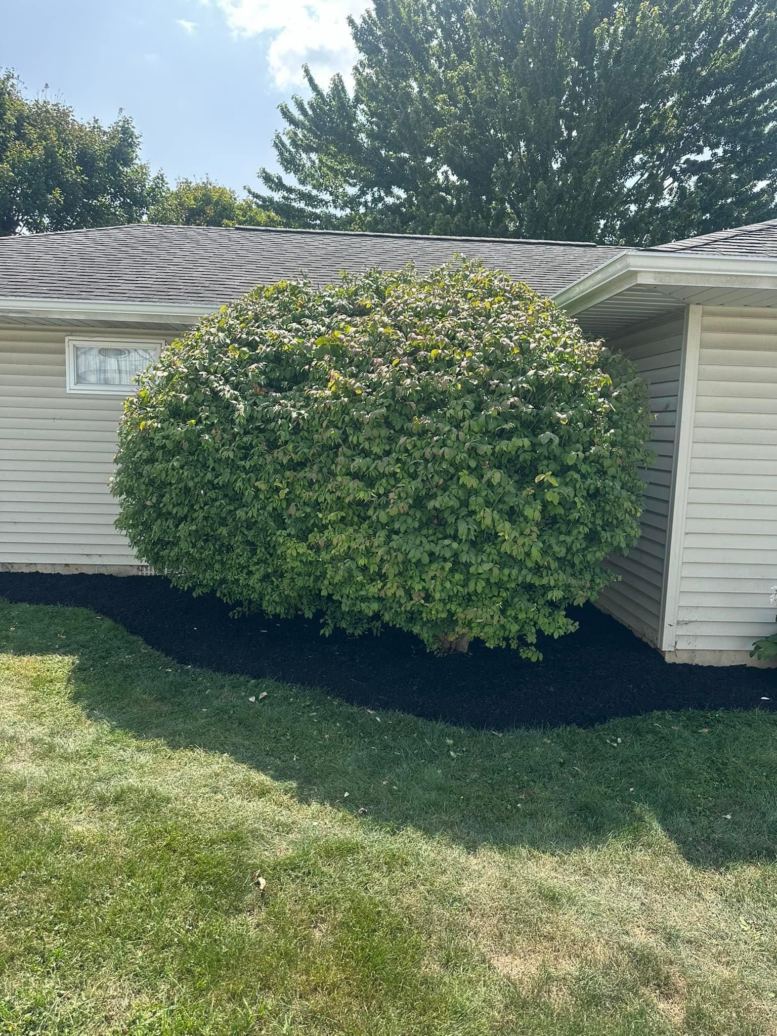  for OT Lawn and Landscaping LLC in Carey, OH