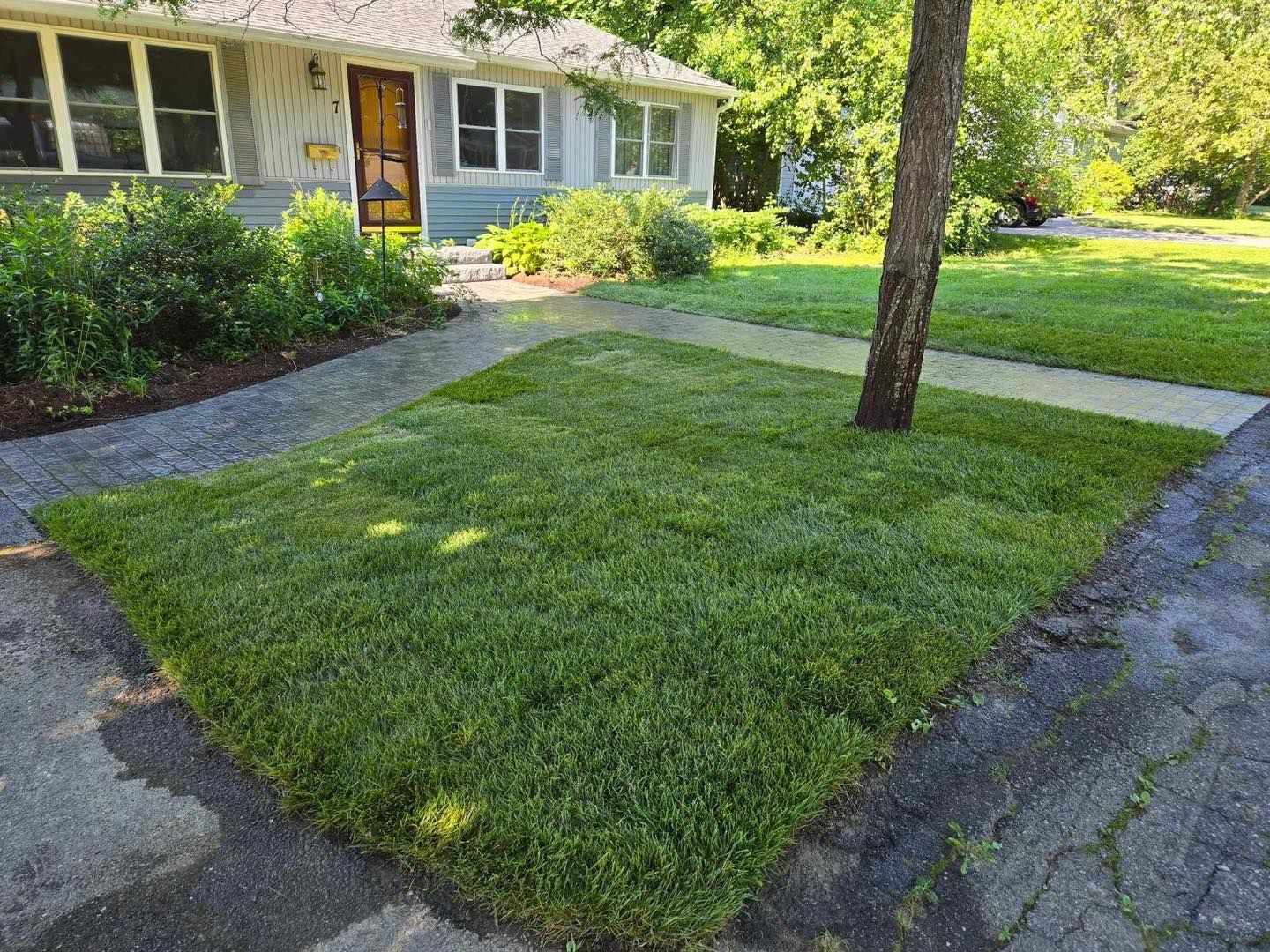 All Photos for Casey's Lawn Service LLC in Orono, ME