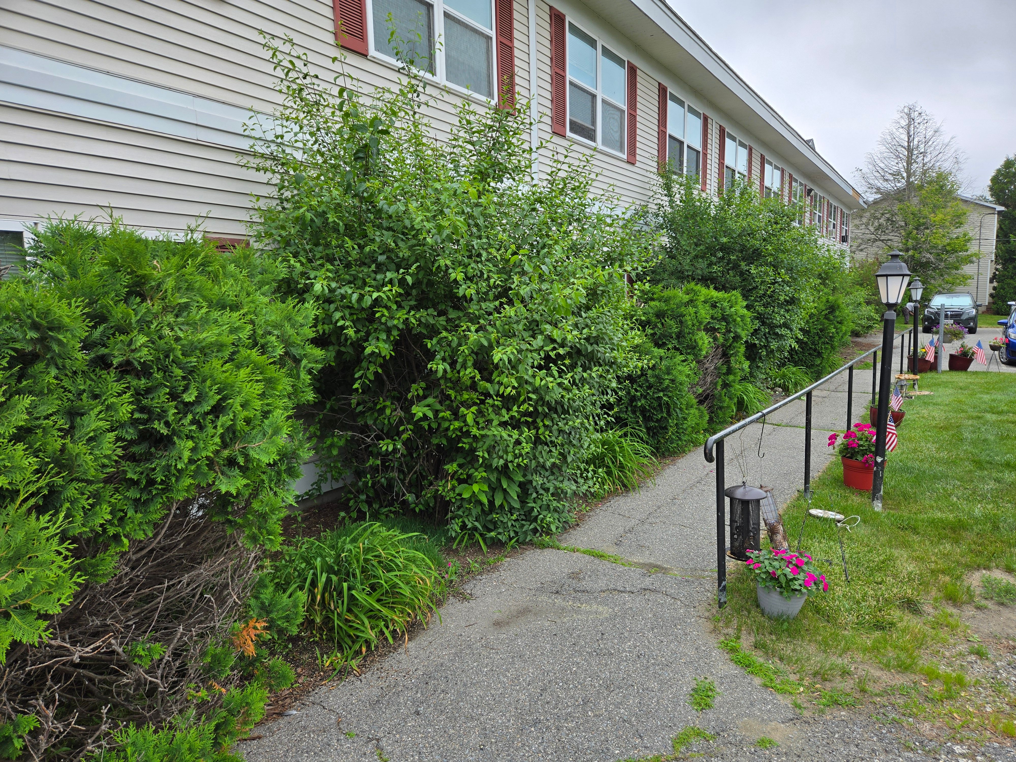 All Photos for Casey's Lawn Service LLC in Orono, ME