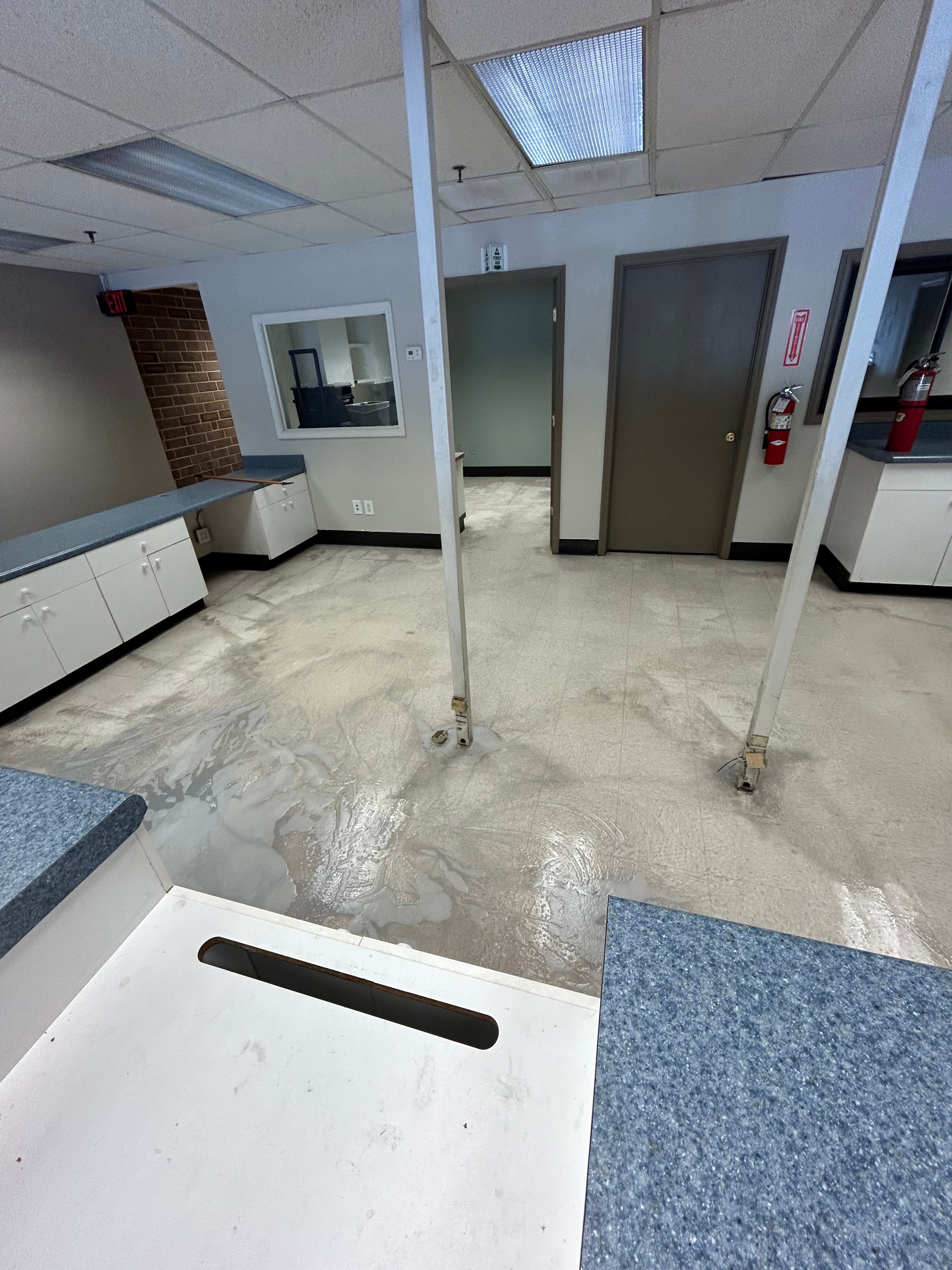 Floor Cleaning  for Cleaning Carolina’s LLC in Greensboro, NC