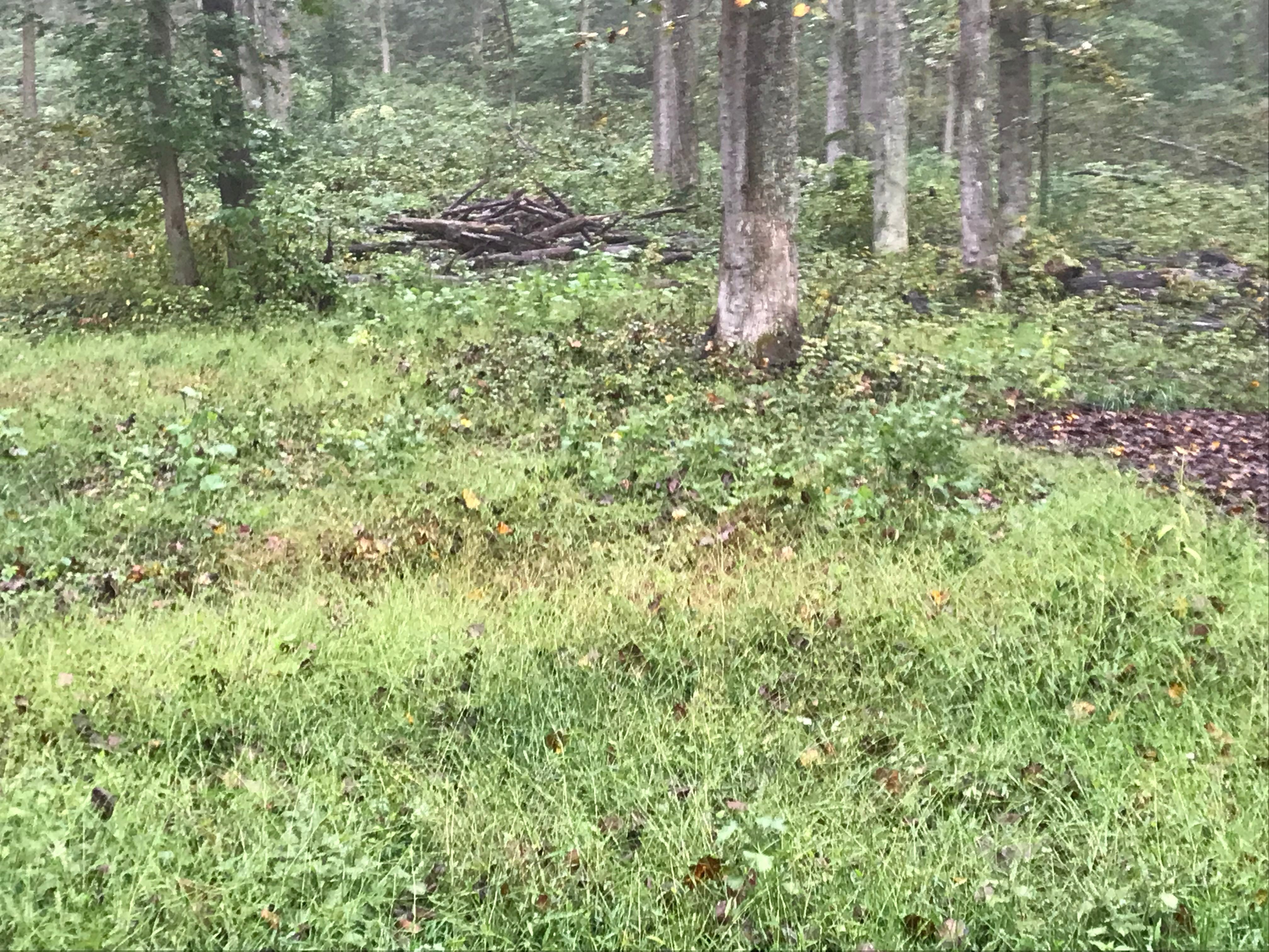  for 9999 Building and Renovation LLC in Warrenton, VA