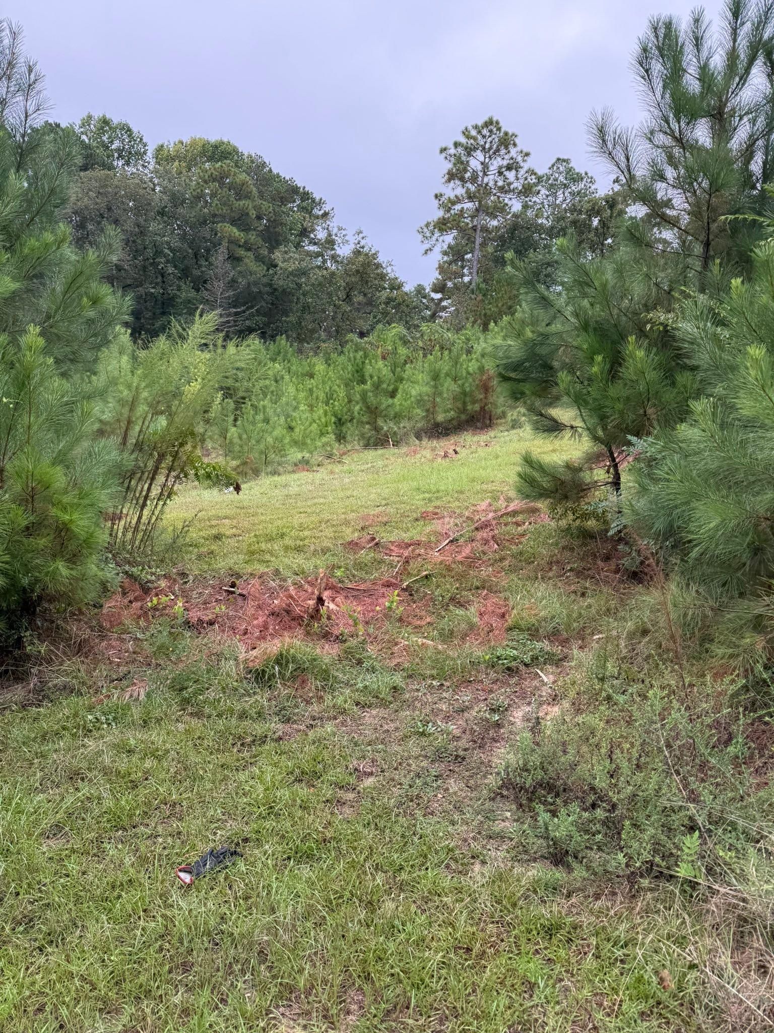  for SodGods Lawncare and Landscaping in Fayetteville , NC