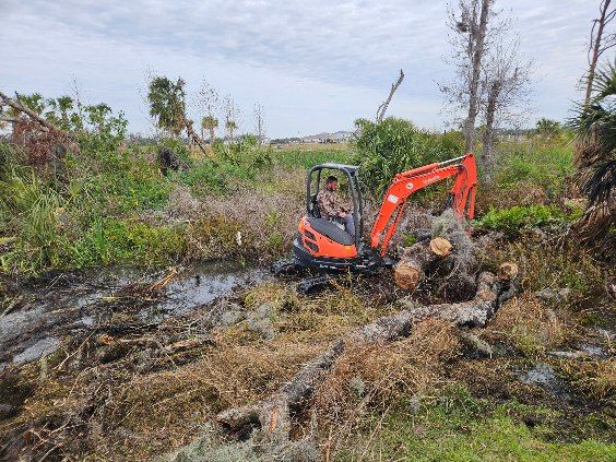 All Photos for Bay Area Bobcat in Riverview, FL