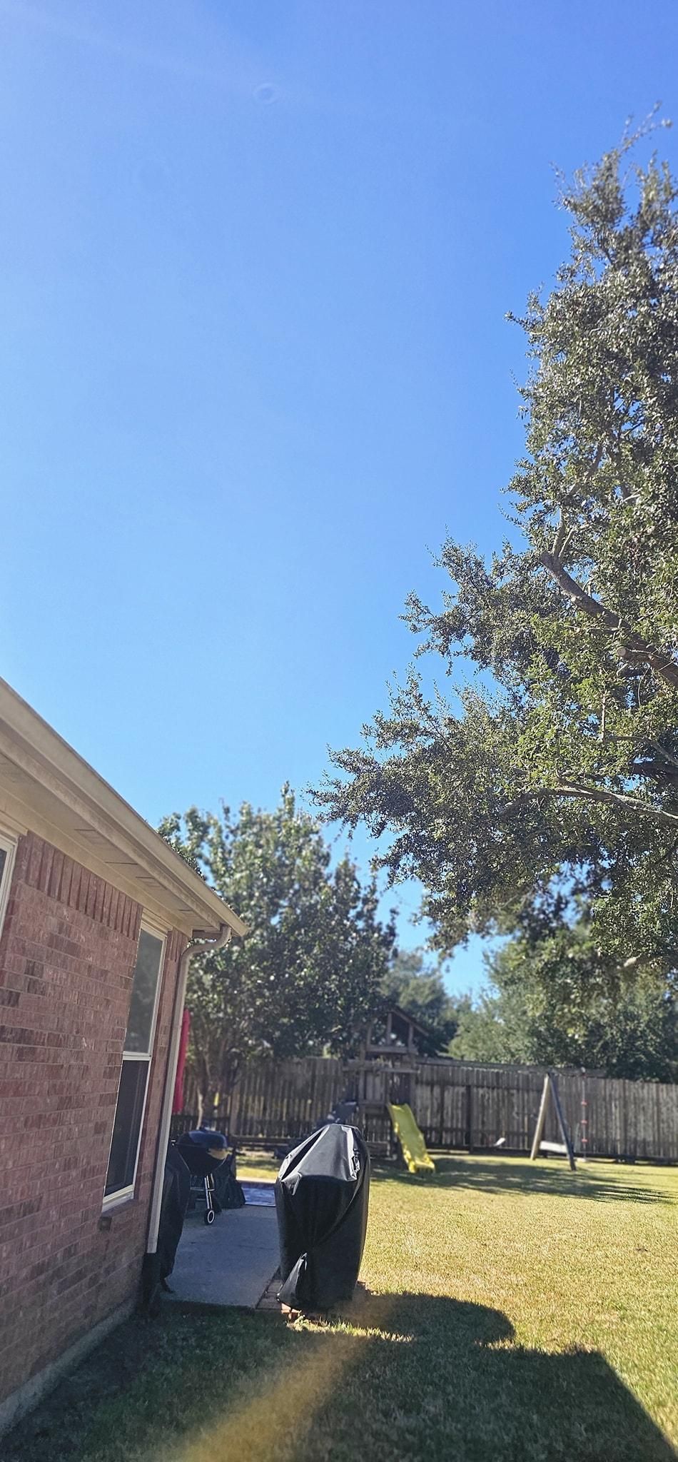  for Servin's Tree Care  in Houston, TX