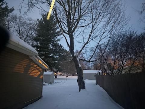 All Photos for Advanced Tree Solutions in Rockville, IN