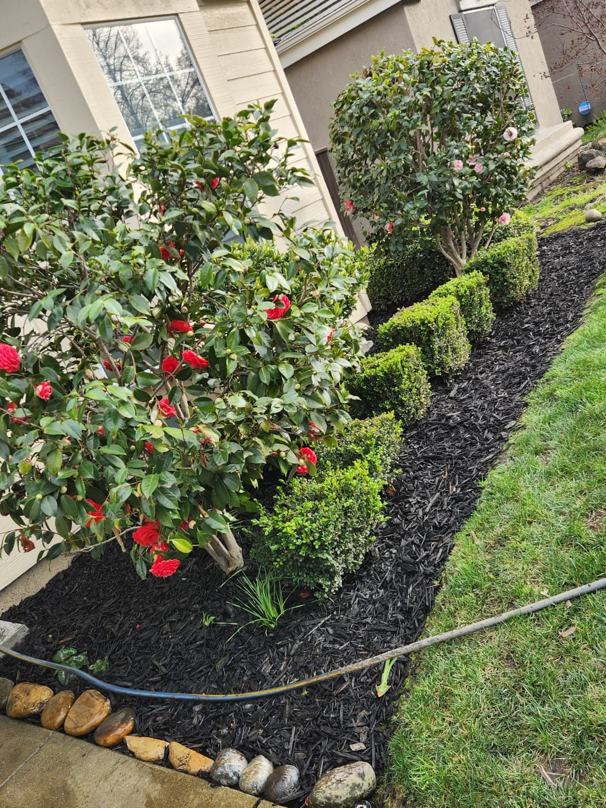  for Vargas LANSCAPE LLC in Stockton, CA